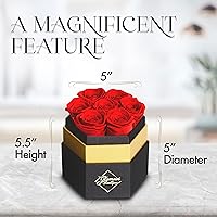 Vista 6 de GLAMOUR BOUTIQUE Rosas eternas preservadas en una caja, flores para siempre, rosa para siempre en una caja para esposa o ella, regalo de flores