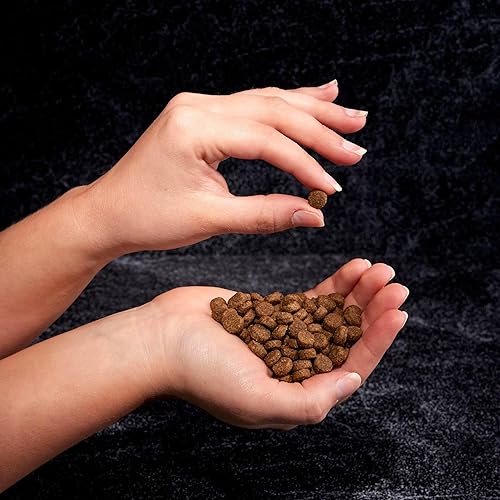 Miniatura 9 de Crave Comida con proteína para perros, libre de granos, adulto