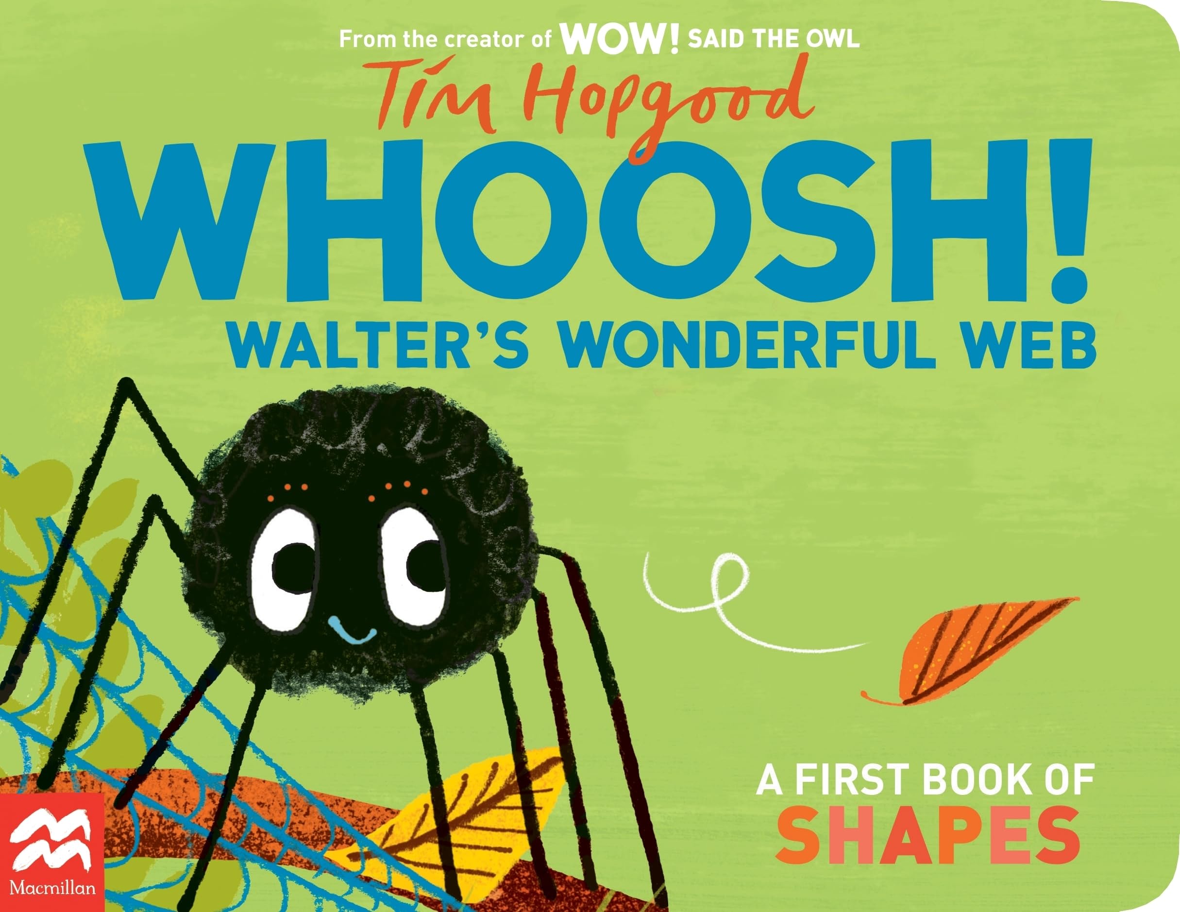 WHOOSH! Walter's Wonderful Web: A First Book of Shapes