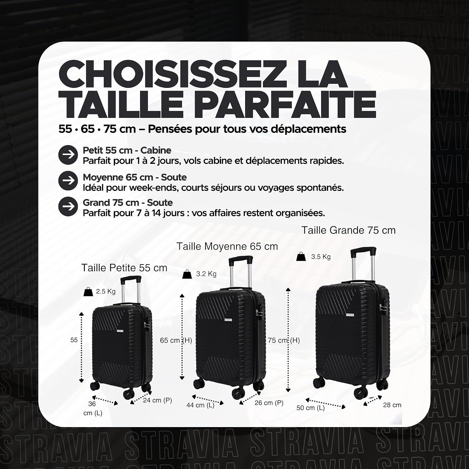valise cabine – vue détaillée
