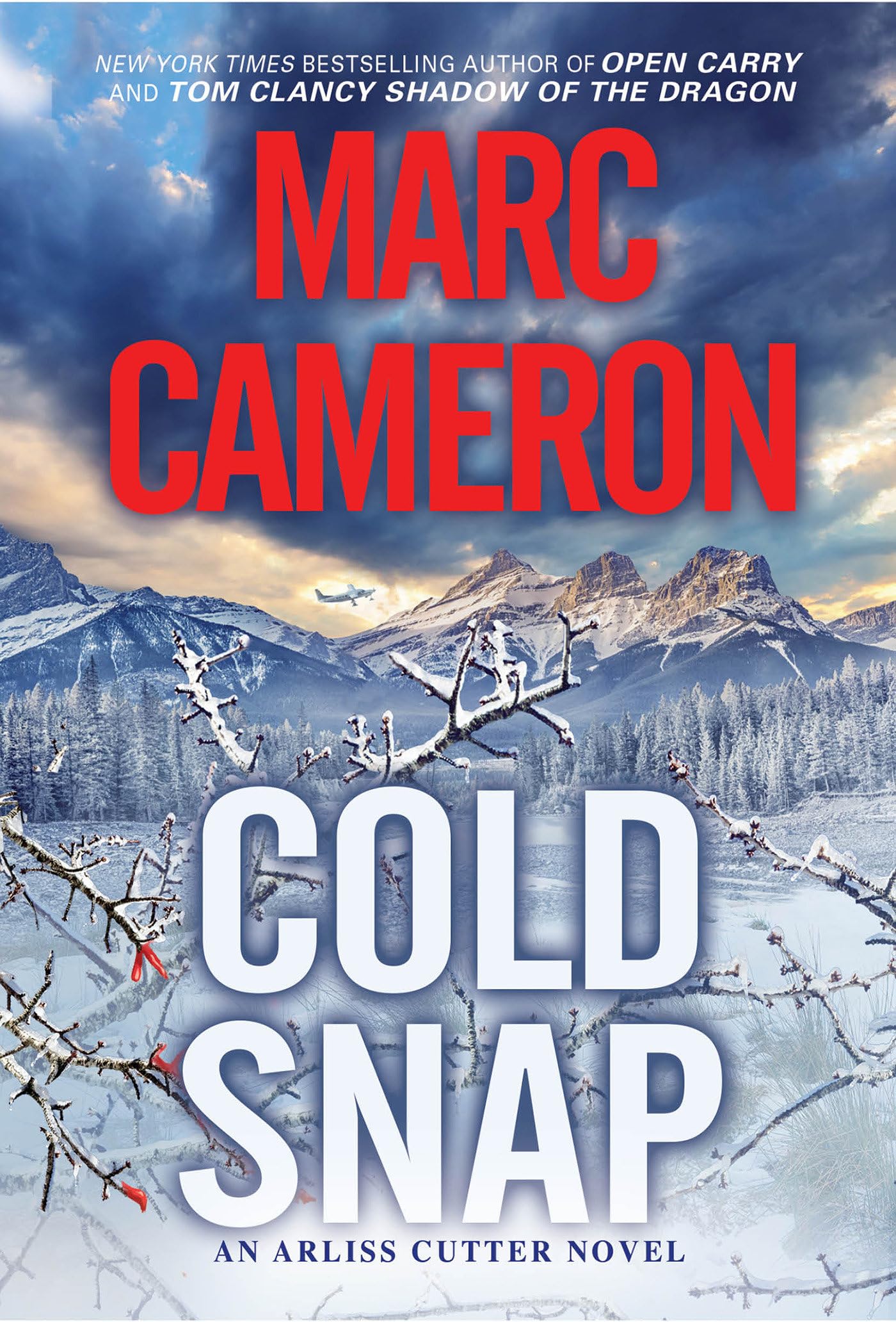 Cold Snap: An Action Packed Novel of Suspense (Arliss Cutter Novel)