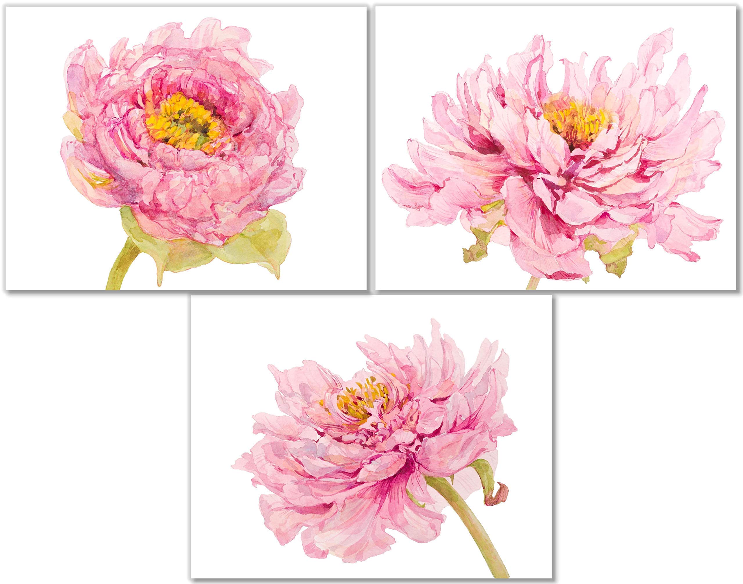Pink Flower Art Prints - Peony Floral Wall Decor - Set of 3-8x10 - Unframed - Botanical