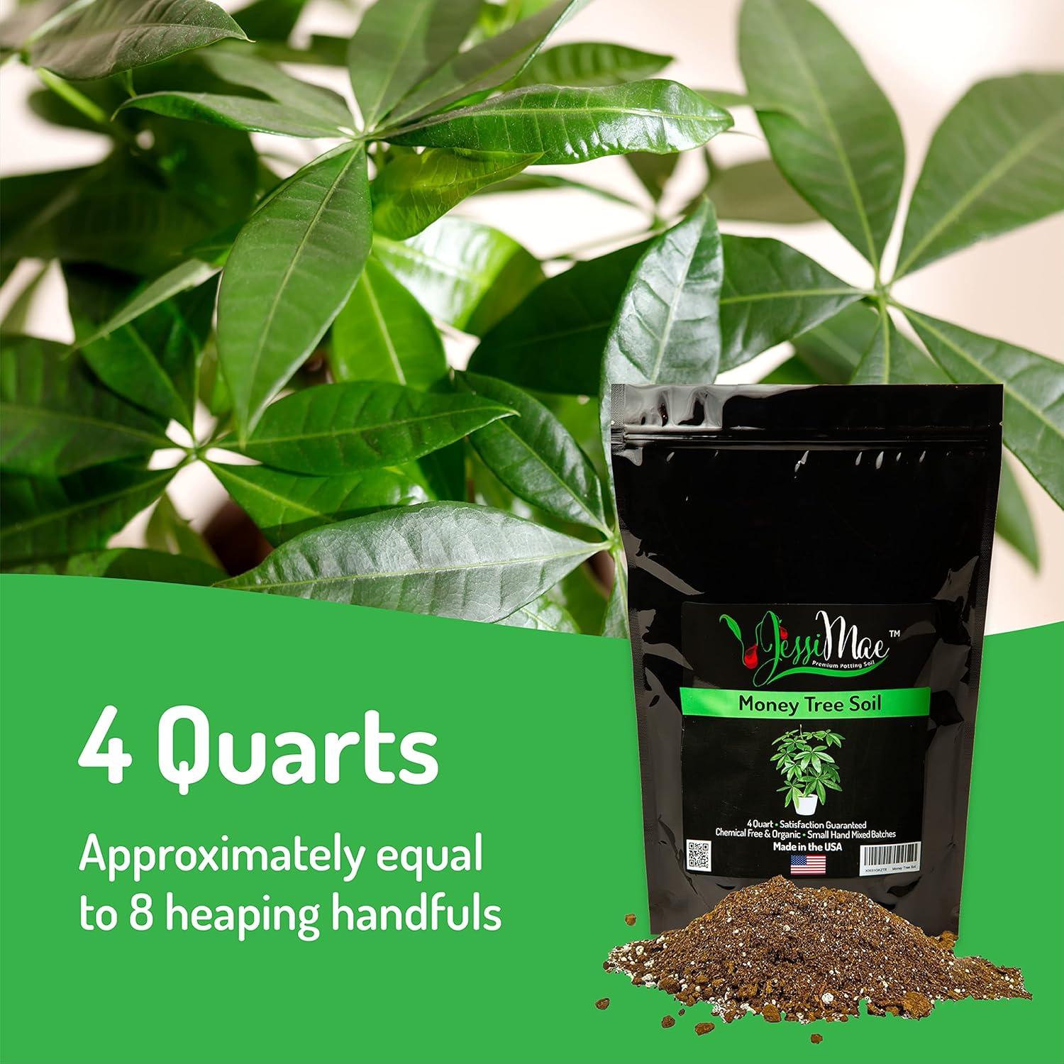 15 Best Soil For Money Tree Reviews And Buying Guide On