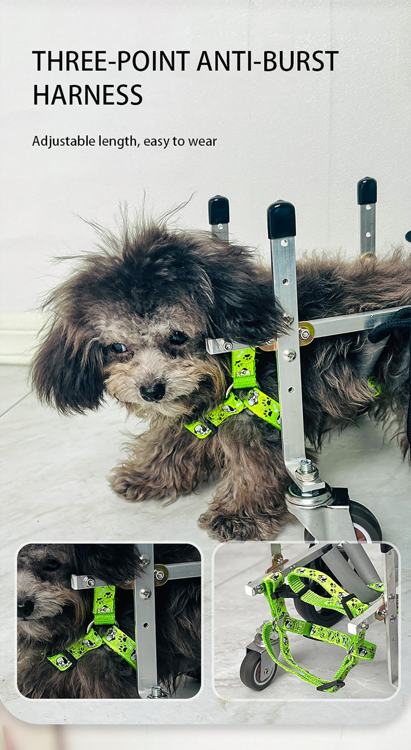 Sedia a rotelle per cani e gatti, sedia a rotelle leggera con 2 o 4 ruote, favorisce la libertà e la mobilità del tuo animale domestico