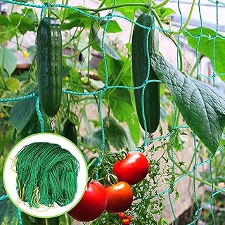 Ranknetz für Pflanzen 2×3 M, Kletterpflanzen Netz, Rankhilfe Pflanzen, Gurken Ranknetz, Tomaten R-anknetz, ReißFestes Pflanzennetz Mit 10×10 cm Gitter für Gurken Tomaten Bohnen, Gartennetz (2x3m)