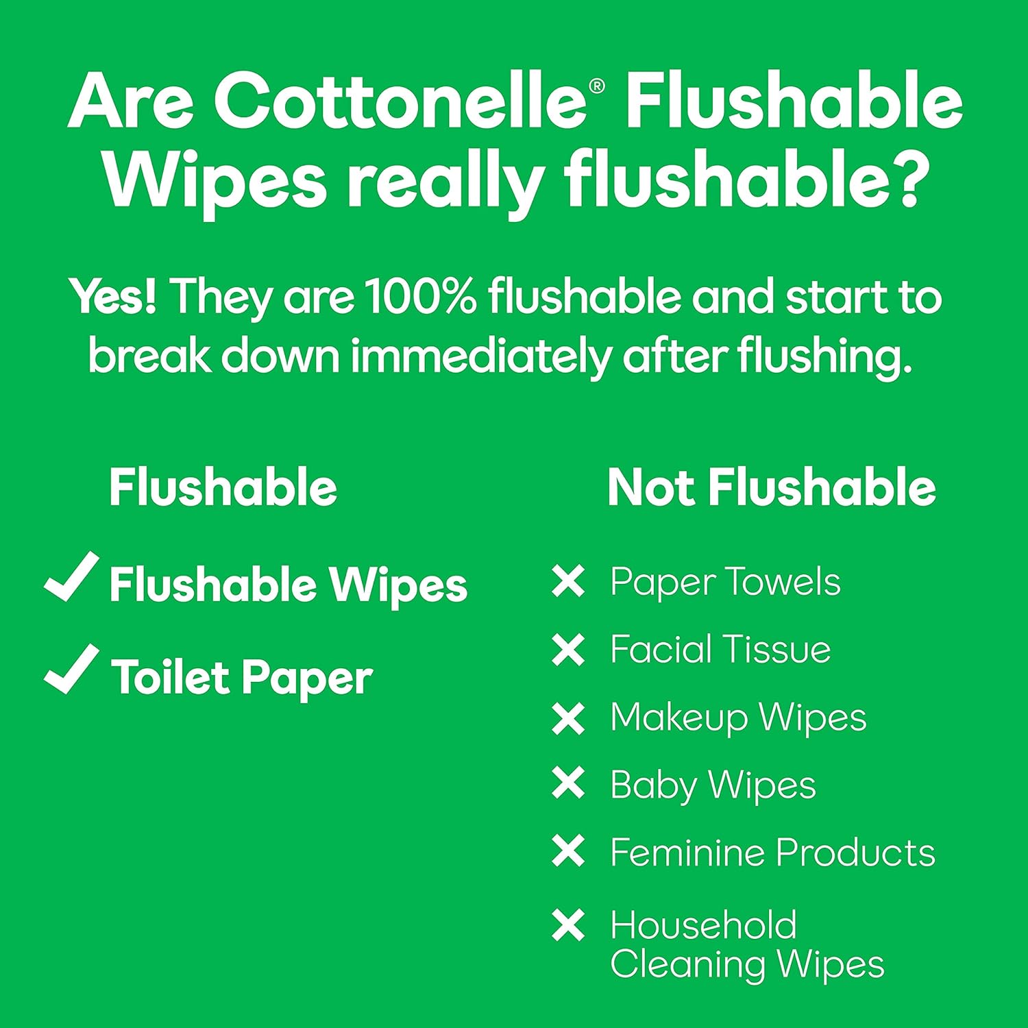 Cottonelle GentlePlus Flushable Wet Wipes with Aloe & Vitamin E - 2 Flip-Top Packs, 84 Total Flushable Wipes, 42 Count (Pack of 2) : Health & Household