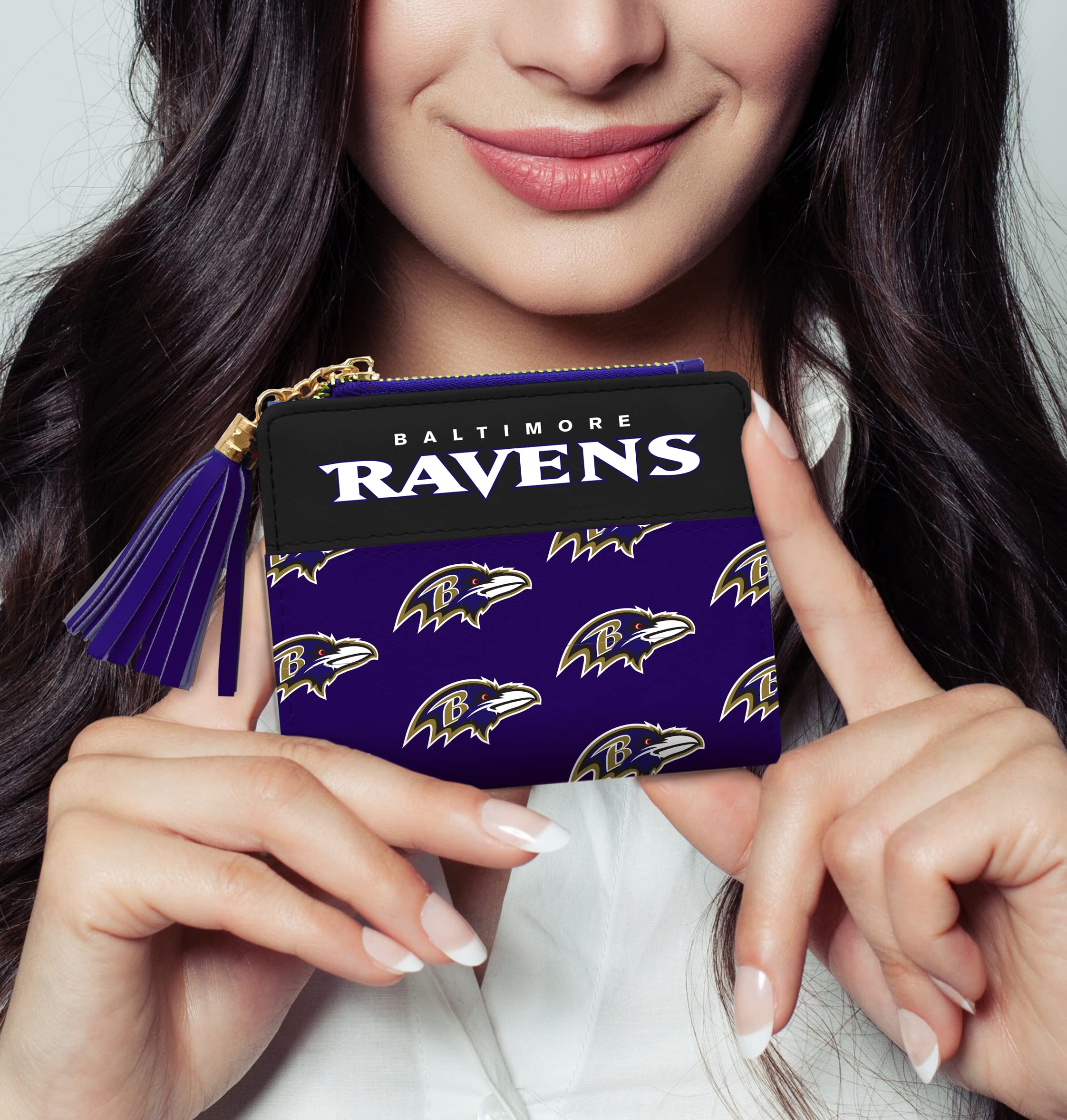 Little Earth Productions Littlearth Unisex-Erwachsene NFL Baltimore Ravens Mini-Organizer, Teamfarbe, Einheitsgröße