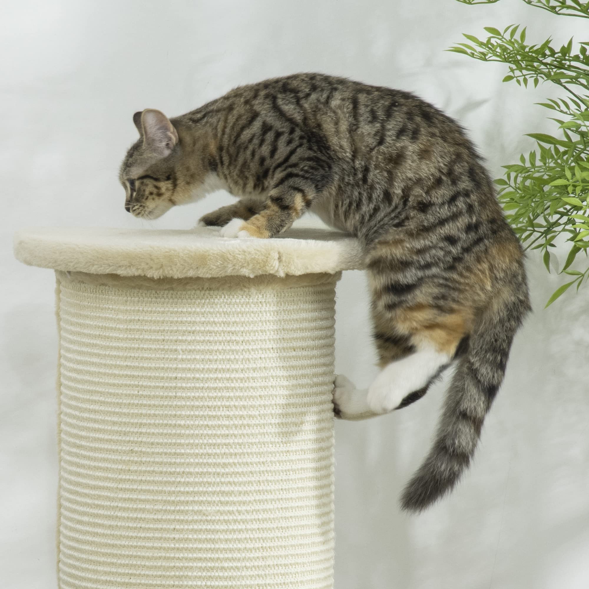PawHut Kratzbaum 85 cm Hoch Kratzsäule Kratzstamm mit Sisalseil, Kippschutz Katzenkratzbaum Katzenbaum für mittelgroße Katzen, Cremeweiß