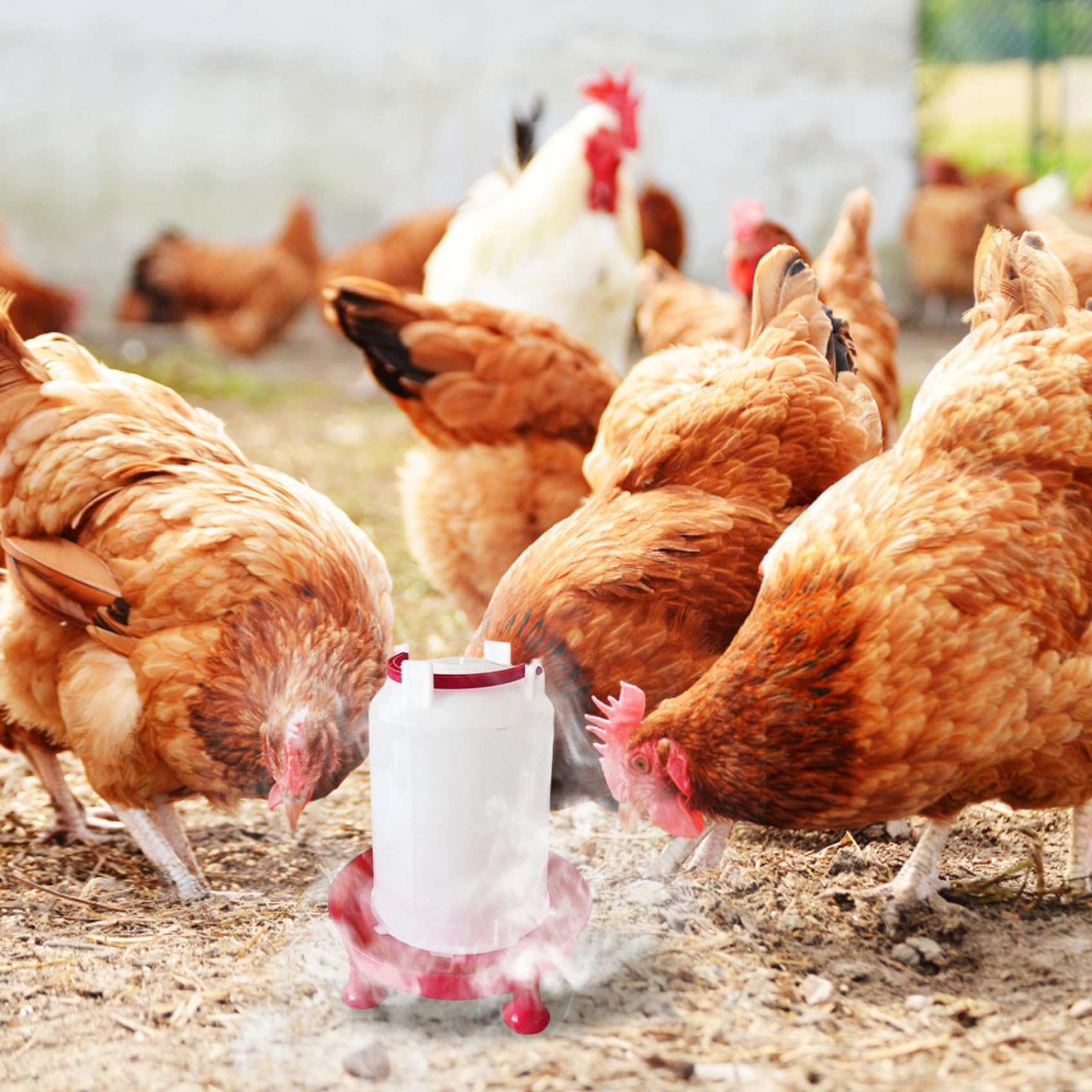Bebedero para Pollos calentado de plástico Grueso de 3L con Soporte para piernas y Mango, Bebedero para Aves de Corral extraíble sin Desperdicio para gallinero