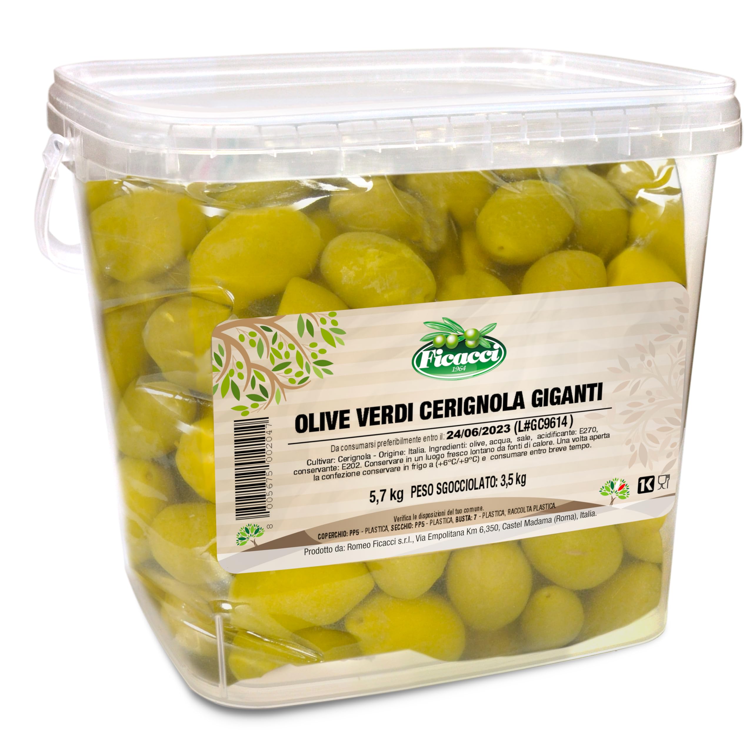 Ficacci - Olive Verdi Cerignola Giganti 3,5Kg