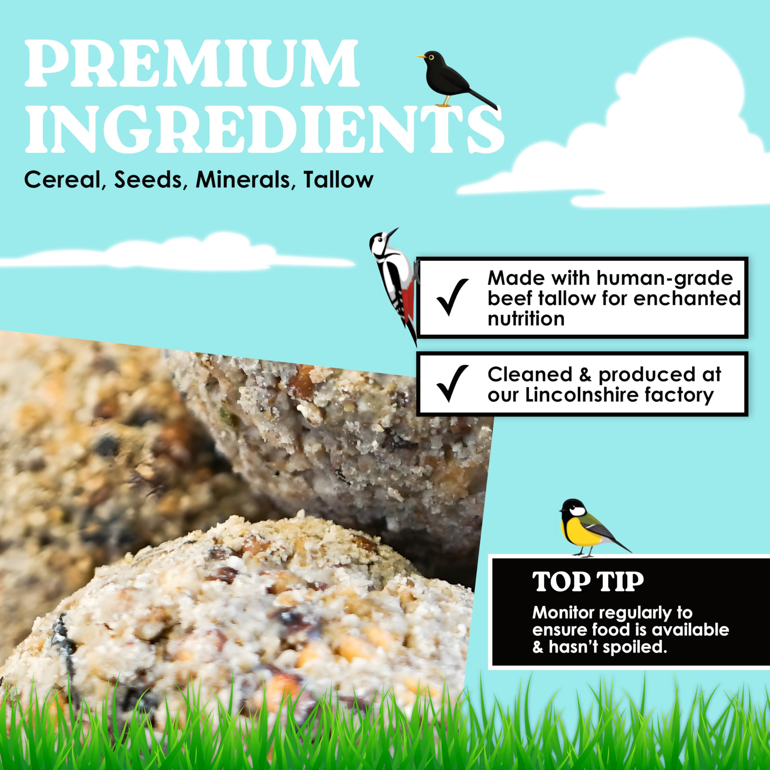 Wolds Wildlife - Premium Suet Fat Balls, 50 x 80g Tub - High-Energy, All-Season Fat Balls for Wild Birds - Enriched with Human-Grade Beef Tallow - High Energy Bird Food with Essential Oils & Protein — view 3