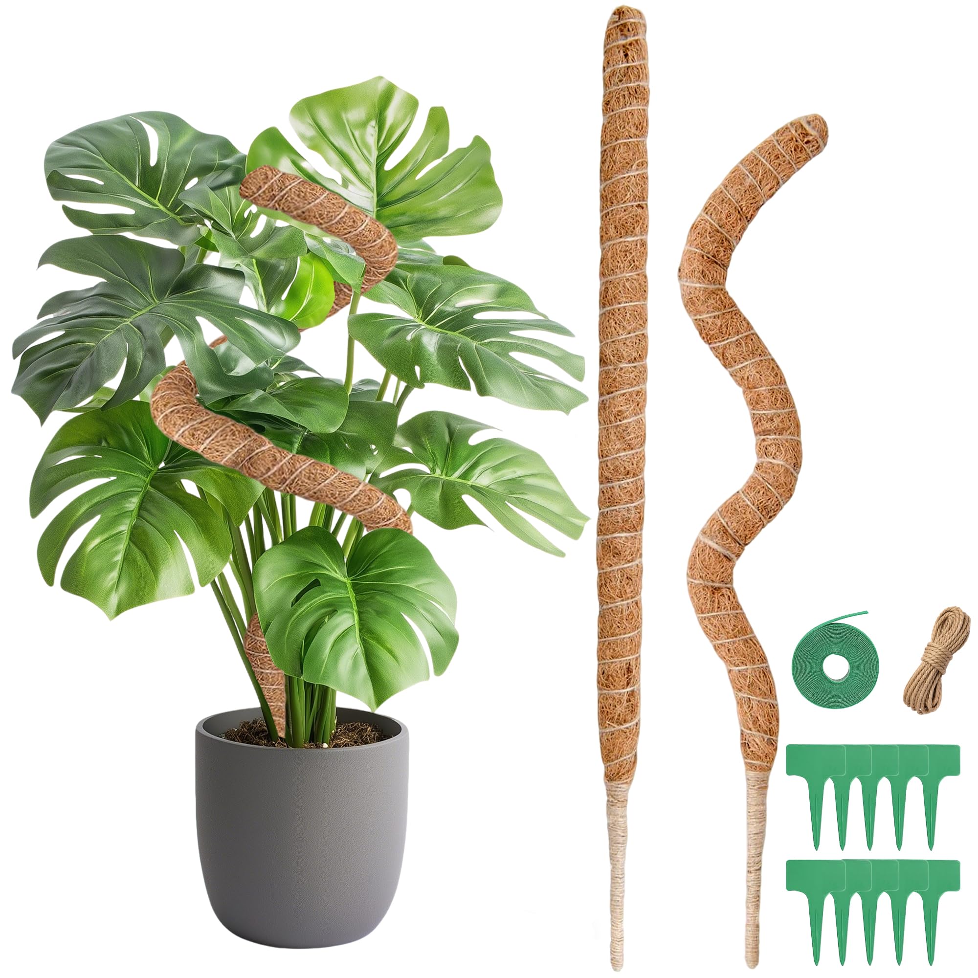 Monstera Rankhilfe, 2 x 60CM Biegsame Moosstab Monstera für Pflanzen mit Zubehör für Kletterpflanzen, Handgefertigte Kokosstab Monstera Moss Pole, Rankhilfe Zimmerpflanzen für Indoor Pflanzen