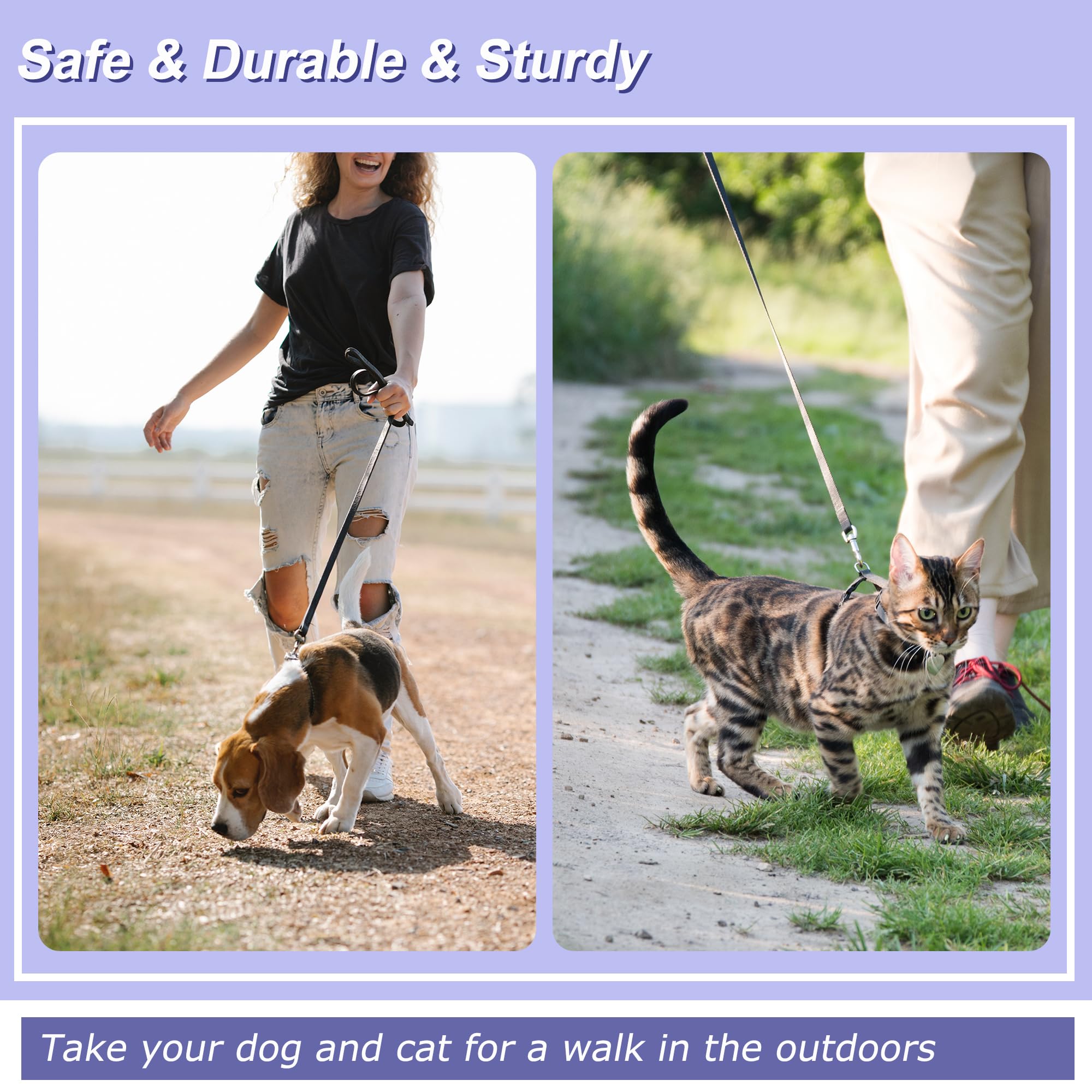 HiCaptain - Guinzaglio per cani in pelle sottile e gatti di piccola taglia fino a 15 – 30 libbre, Guinzaglio cane da 1/3 inch Wide, 6 Feet