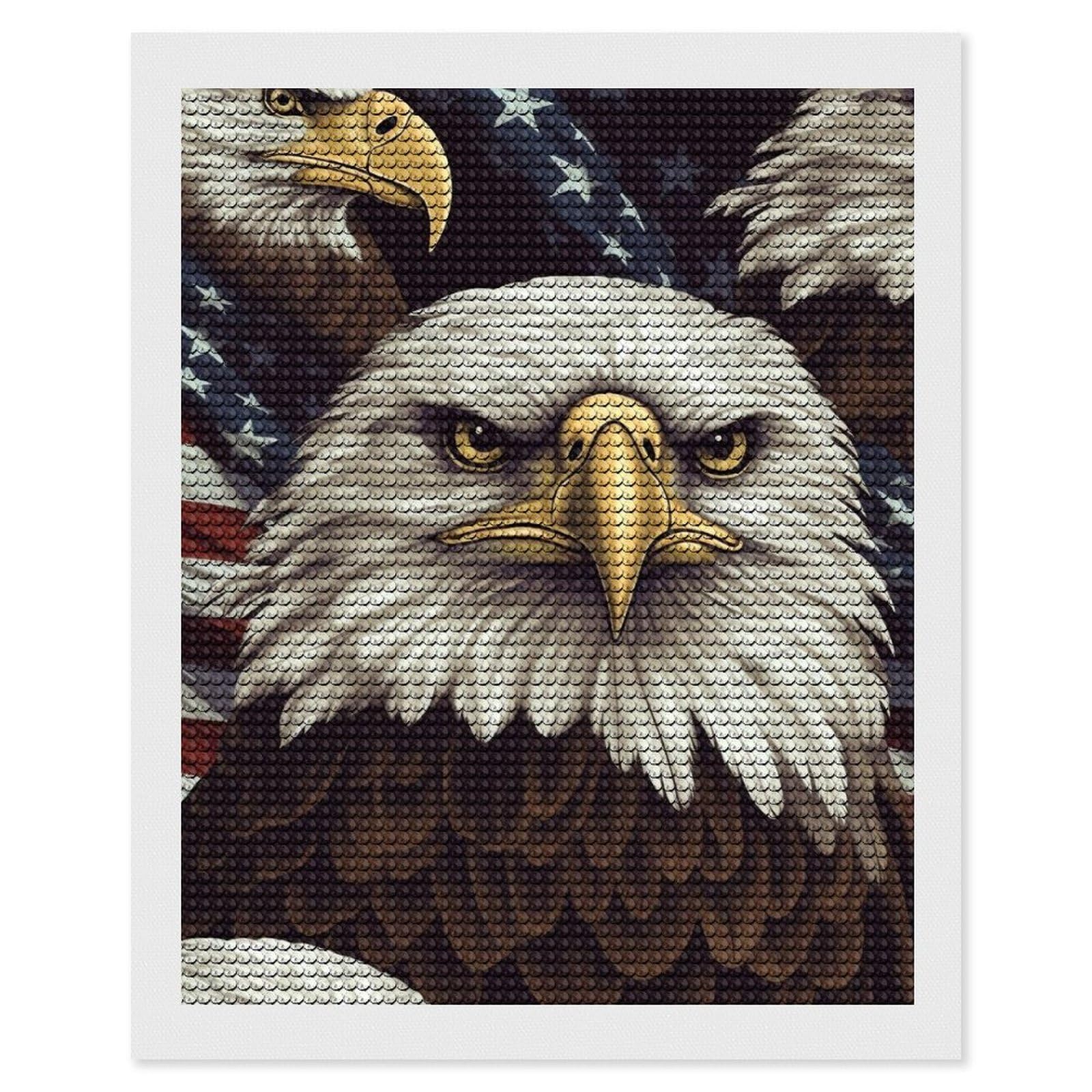 Amazon.com: Diamond Painting Kits for Adults Bald Eagle Full Drill