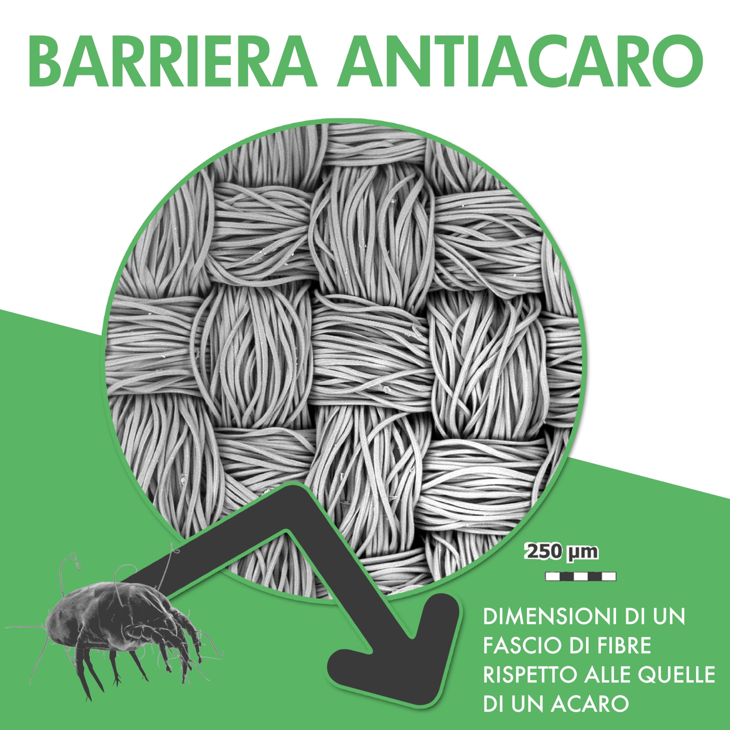 Welldora Coprimaterasso Antiacaro Premium – Copri Materasso Antiacaro Anallergico Testato - Rivestimento con Cerniera - Biancheria da Letto Anallergica (160x200x28cm)
