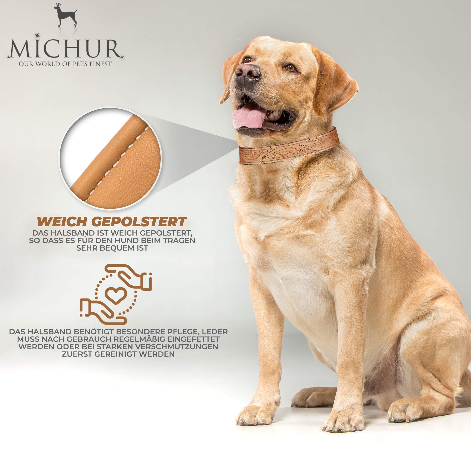 MICHUR Felipe Hundehalsband Leder, Caramel Beige, mit Stanzungen | Lederhalsband, Beige, Halsband, Leder, Hund, In verschiedenen Größen erhältlich
