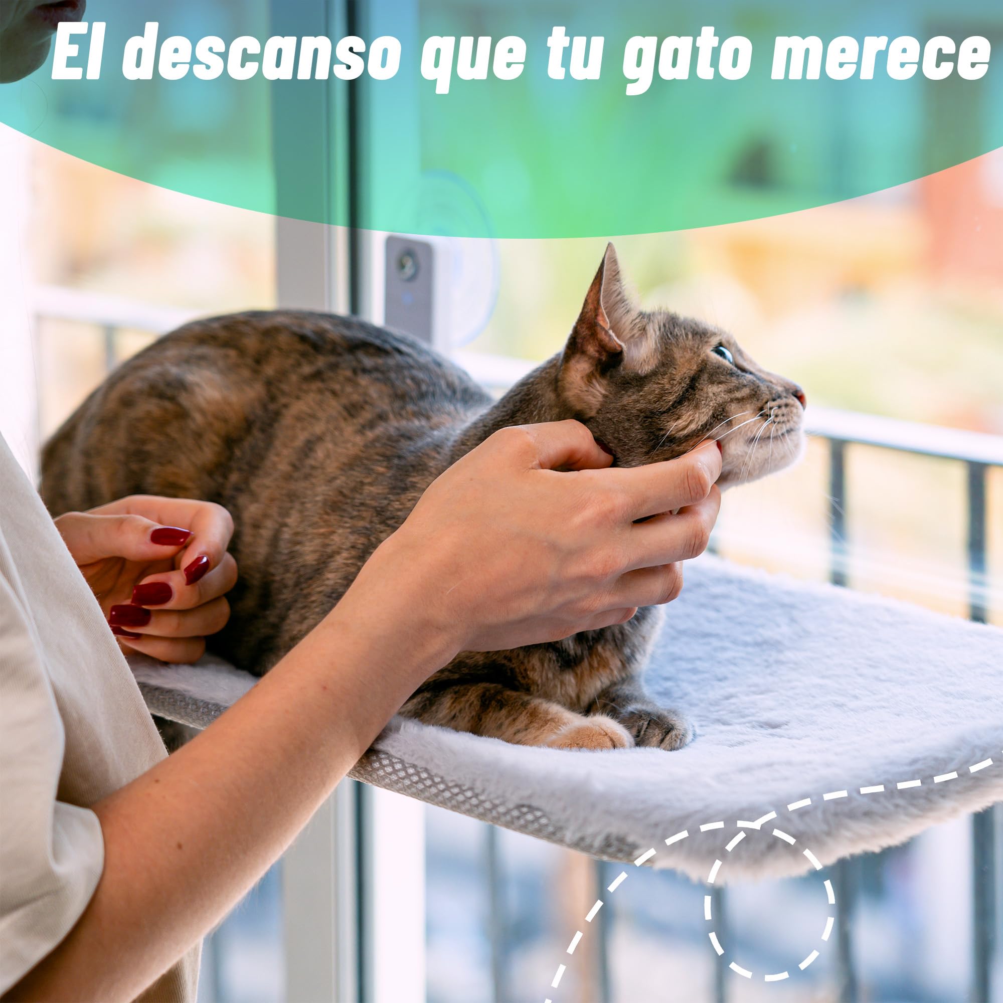 Hamaca Ventana Gato con Manta de Regalo, 30x60 cm, Ventosas Fuertes, 18 kg