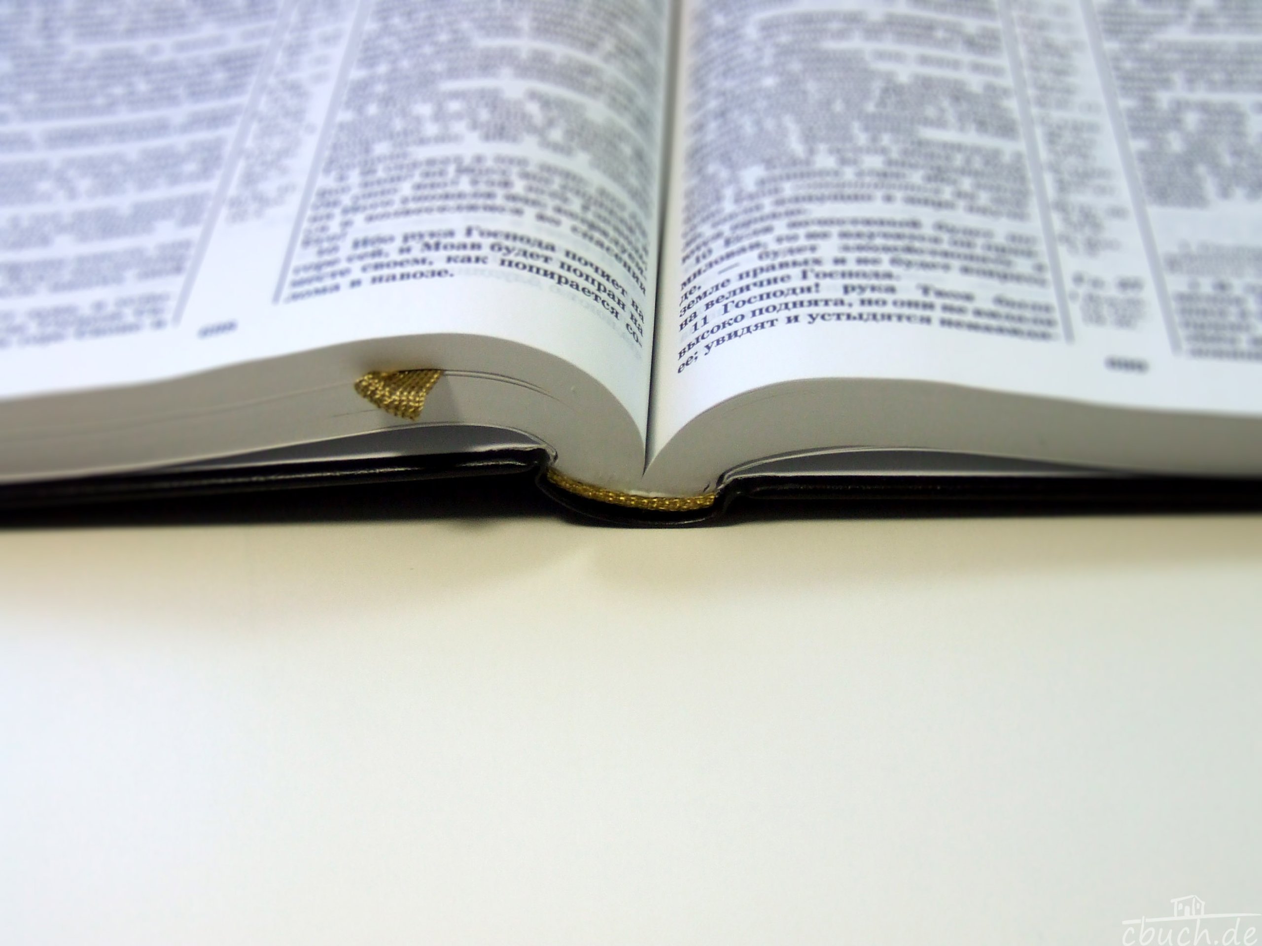 Die Bibel: russische Ausgabe