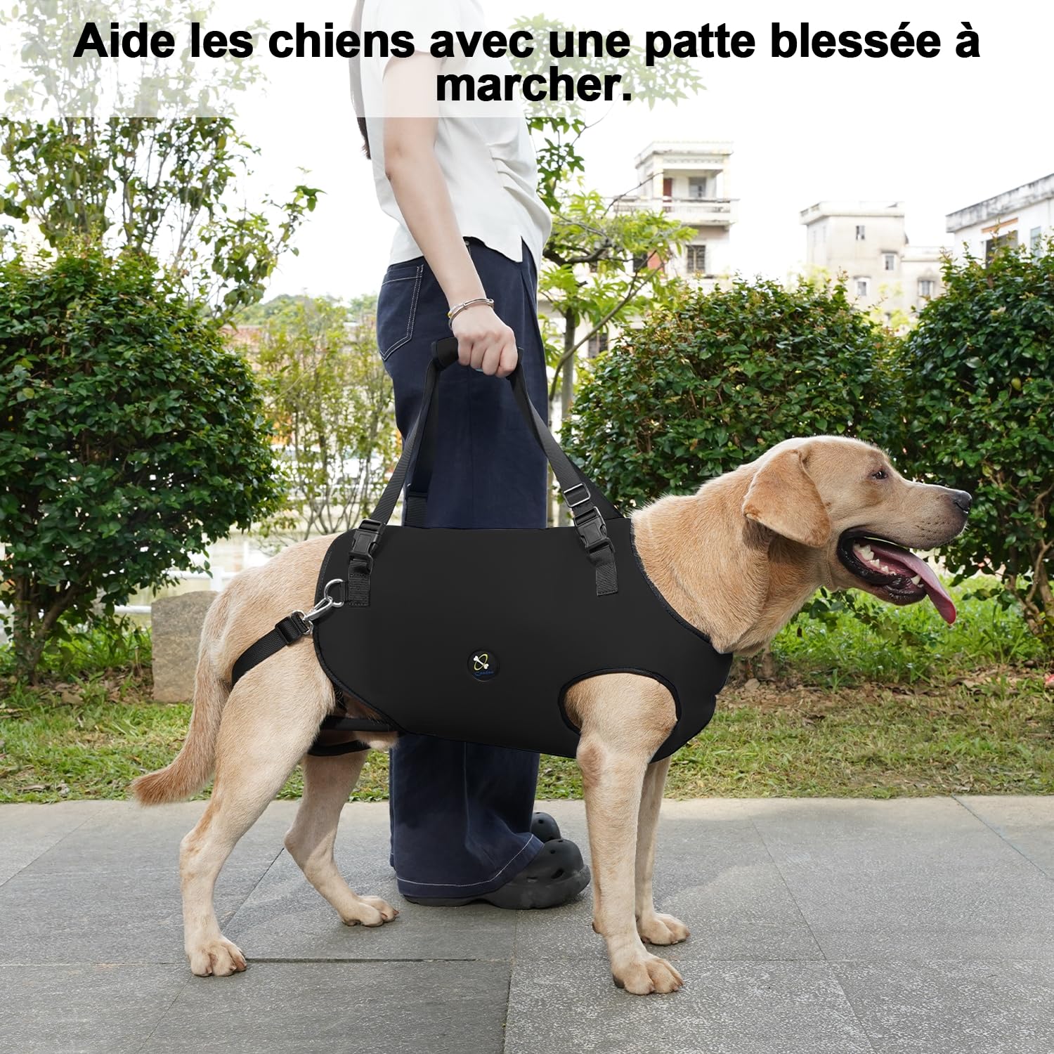Harnais de Levage Coodeo pour Chien, élingue de rééducation avec Sangles Ajustables rembourrées Respirantes – Chiens âgés, handicapés, arthrite, blessures articulaires (Noir, XL)