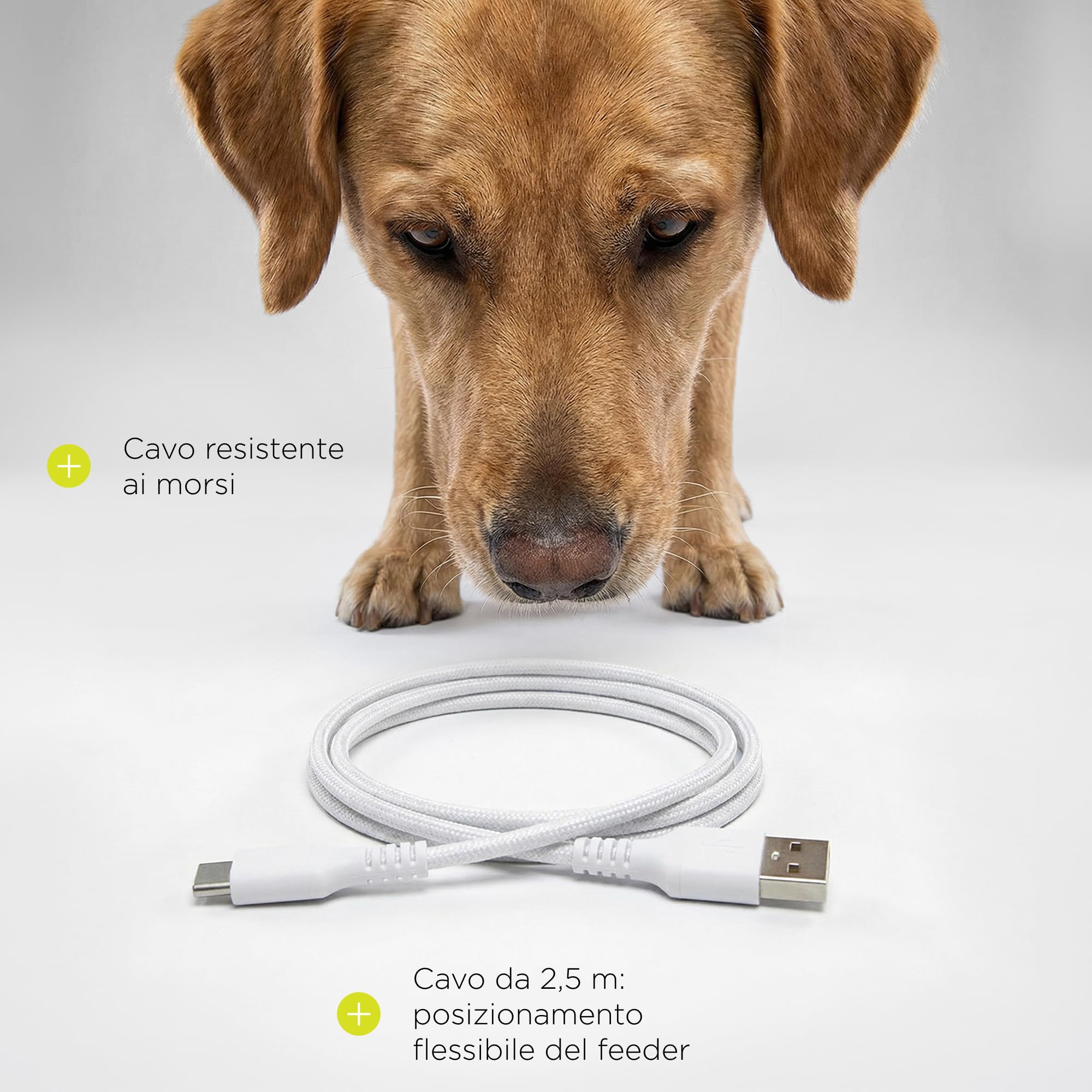 CRISPY WI-FI Distributore Automatico Cibo Cani e Gatti con WiFi e App, Capiente 4,5 L, Programmabile Timer e Porzioni, Registrazione Vocale, Ciotola in Acciaio Inox, Cavo e Batterie (Bianco) | Per Cani e Gatti, App, Timer e Porzioni Programmabili, Registr