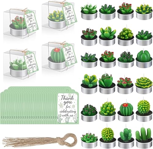 MTLEE 24 juegos de velas de cactus suculentas, velas perfumadas de cactus, velas decorativas de mini plantas, velas de baby shower, regalos con