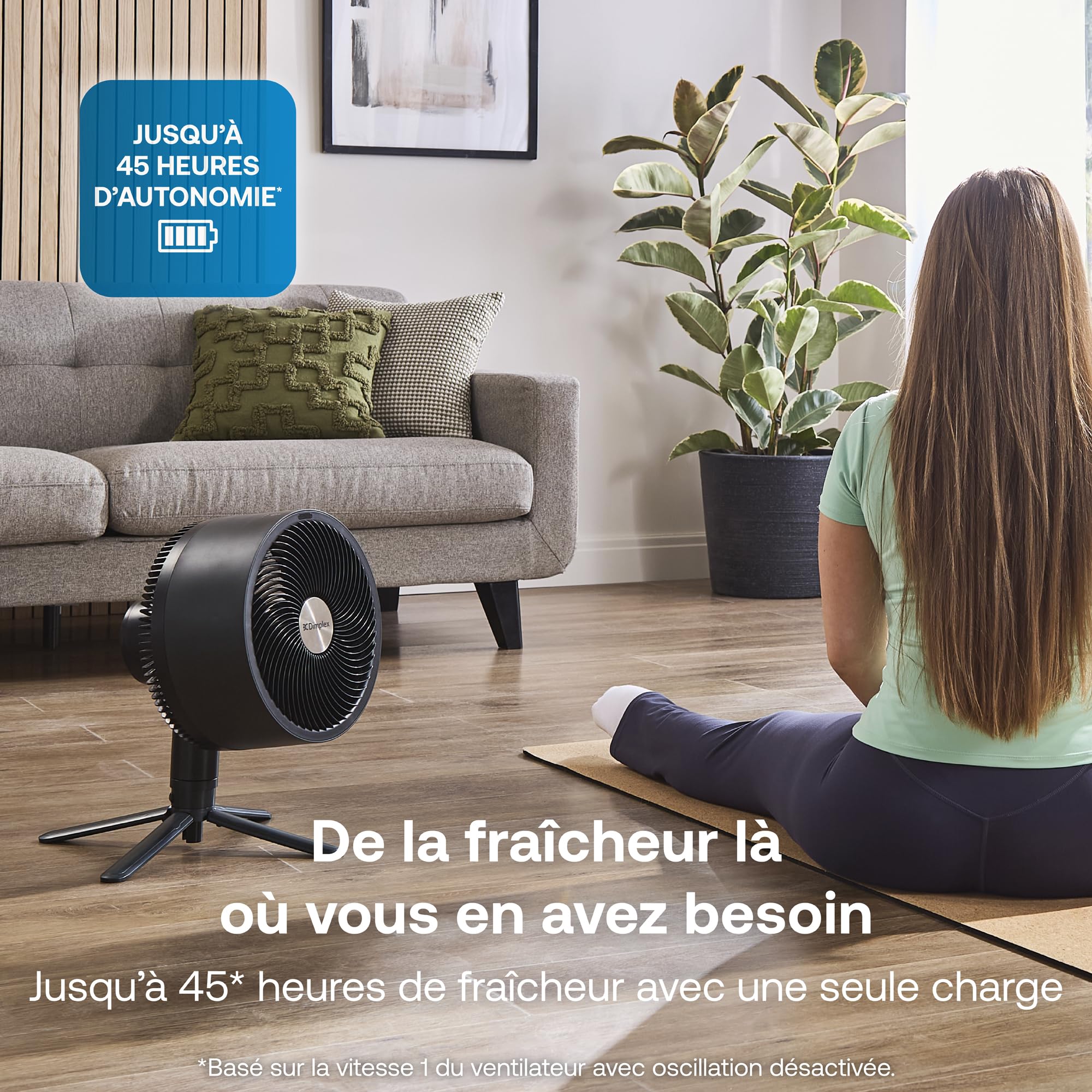 DIMPLEX DUOCOOL Smart Ventilateur sans Fil 2-en-1, Pied & Table, Batterie 45 h, 5 Vitesses + Turbo, 20 m, 36 dB, App, Google Home & Alexa, Télécommande, Noir