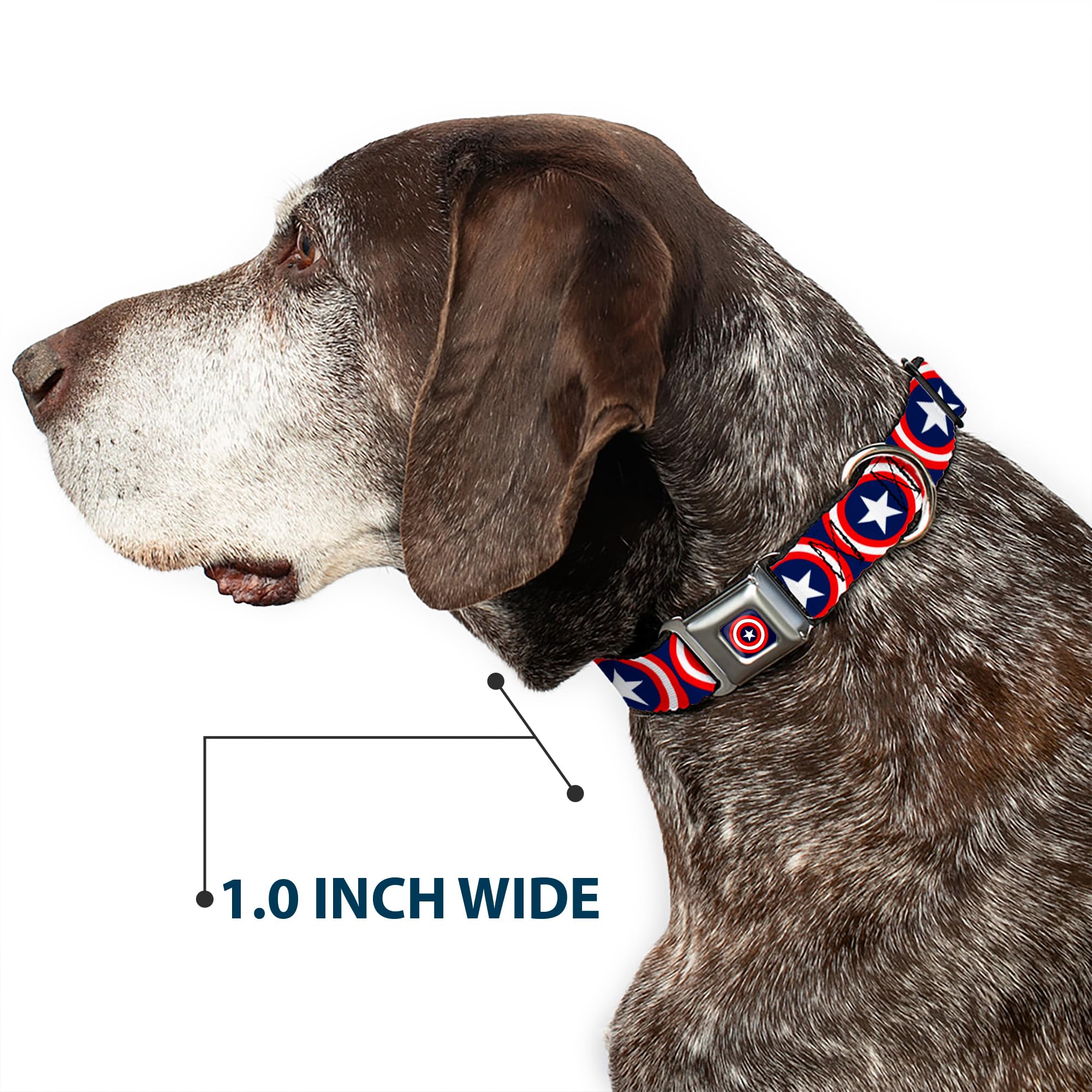Buckle-Down Collare per Cani con Fibbia per Cintura di Sicurezza, Modello Capitan America, Blu Navy, Largo 2,5 cm, Adatto per Collo da 38 a 66 cm, Taglia L