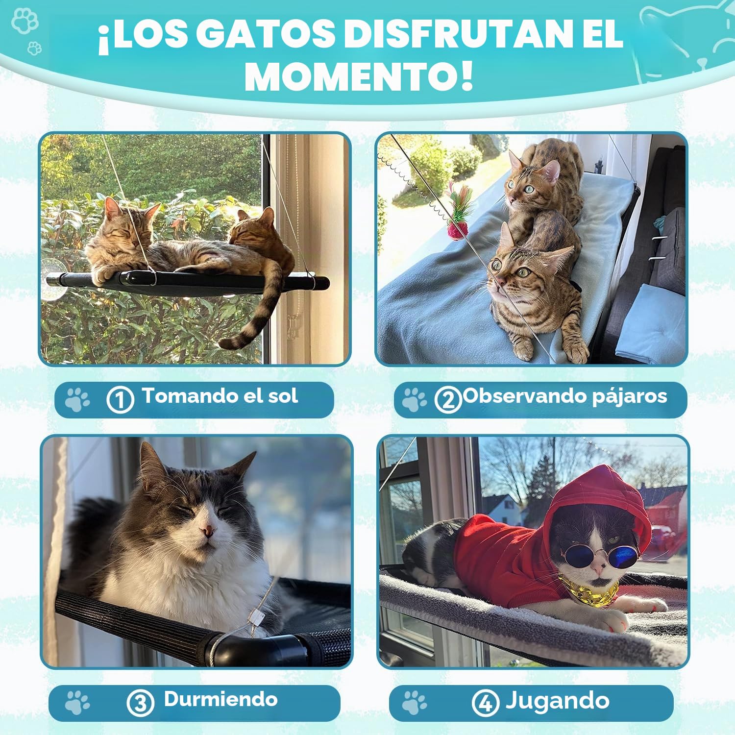 Dracarys Hamaca Gato Ventana | para Gatos Grandes de hasta 20 kg | Hamaca Reforzada con Fuerte Ventosa | para Tomar el Sol, Cama para Mascotas | para Grandes Ventanas