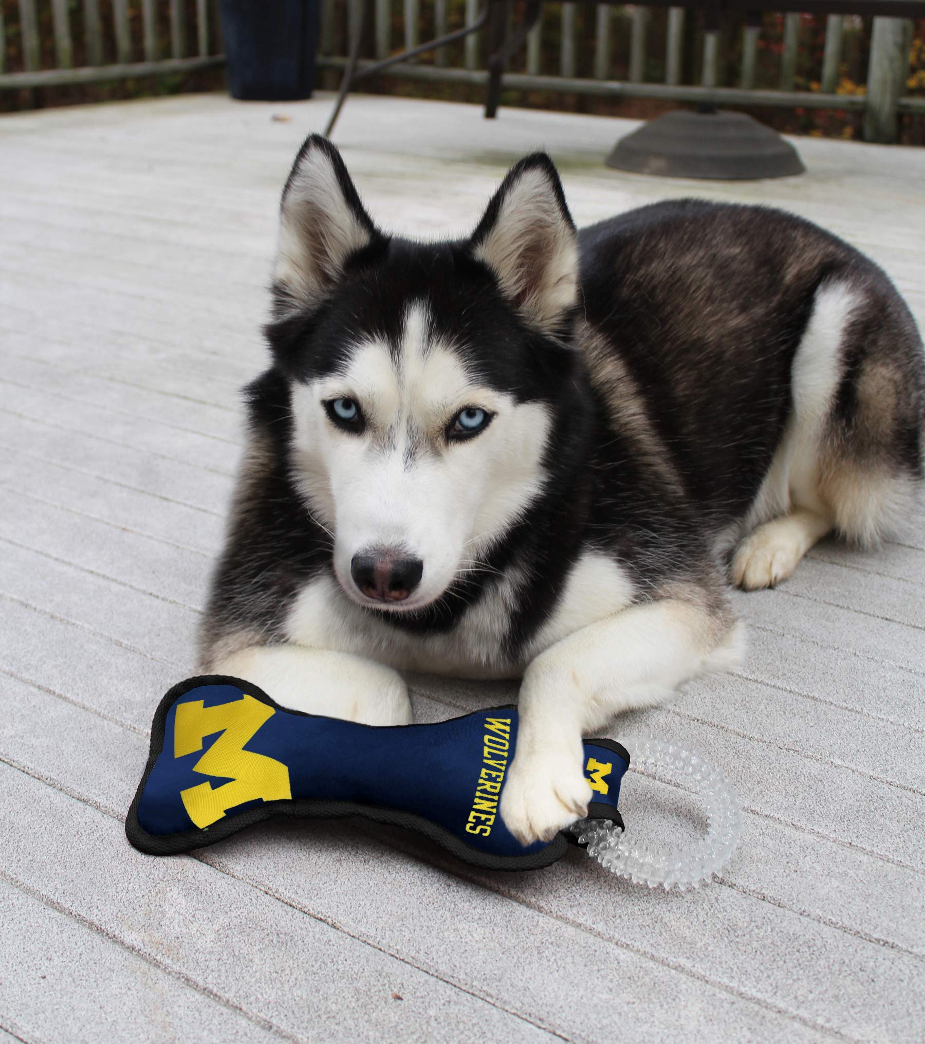 NCAA MICHIGAN WOLVERINES DENTAL DOG TUG TOY with SQUEAKER. TOUGH PET TOY for Healthy Fun Teething & Cleaning Pet's teeth & gum - Image 2
