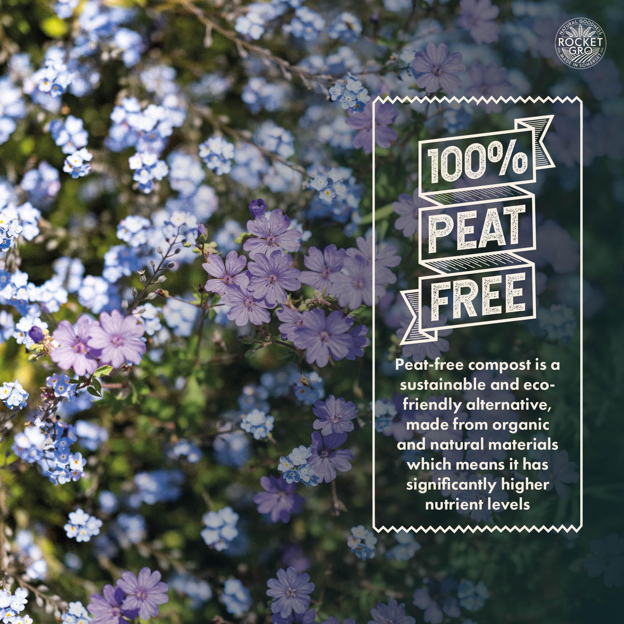 View 4