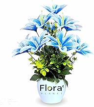 Artificial Lily Flower Pot with 12 Blooming Stems – 34 cm Height | 8 Color Variants | Decorative Faux Plant for Home, Office & Table Décor (Blue)