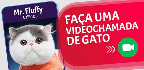 Videochamadas e Chat do gato