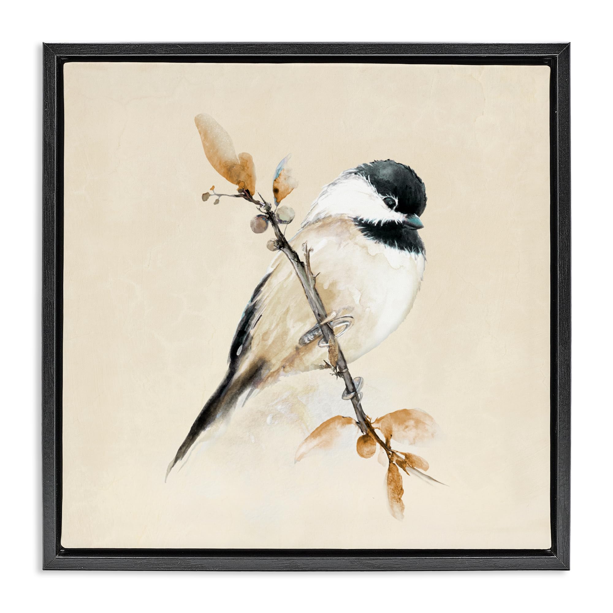 Stupell Industries 'Muted Watercolor Chickadee', Floating Frame Canvas Art, Black, 25 x 25 Inches, Easy to Hang and Sturdy, Made in USA, by Diannart