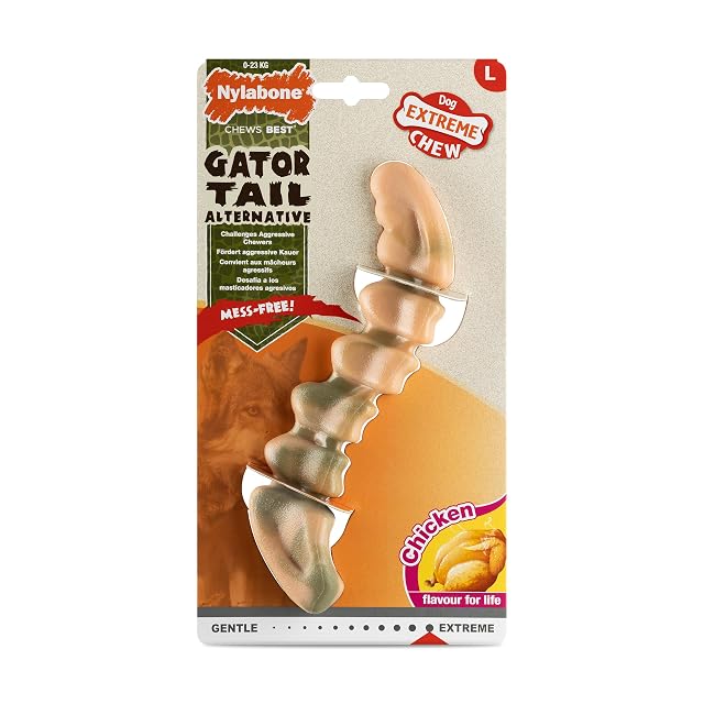 Nylabone, Extremadamente Fuerte para Masticar, Cola de cocodrilo, Juguete de Nylon Resistente, Sabor Pollo…