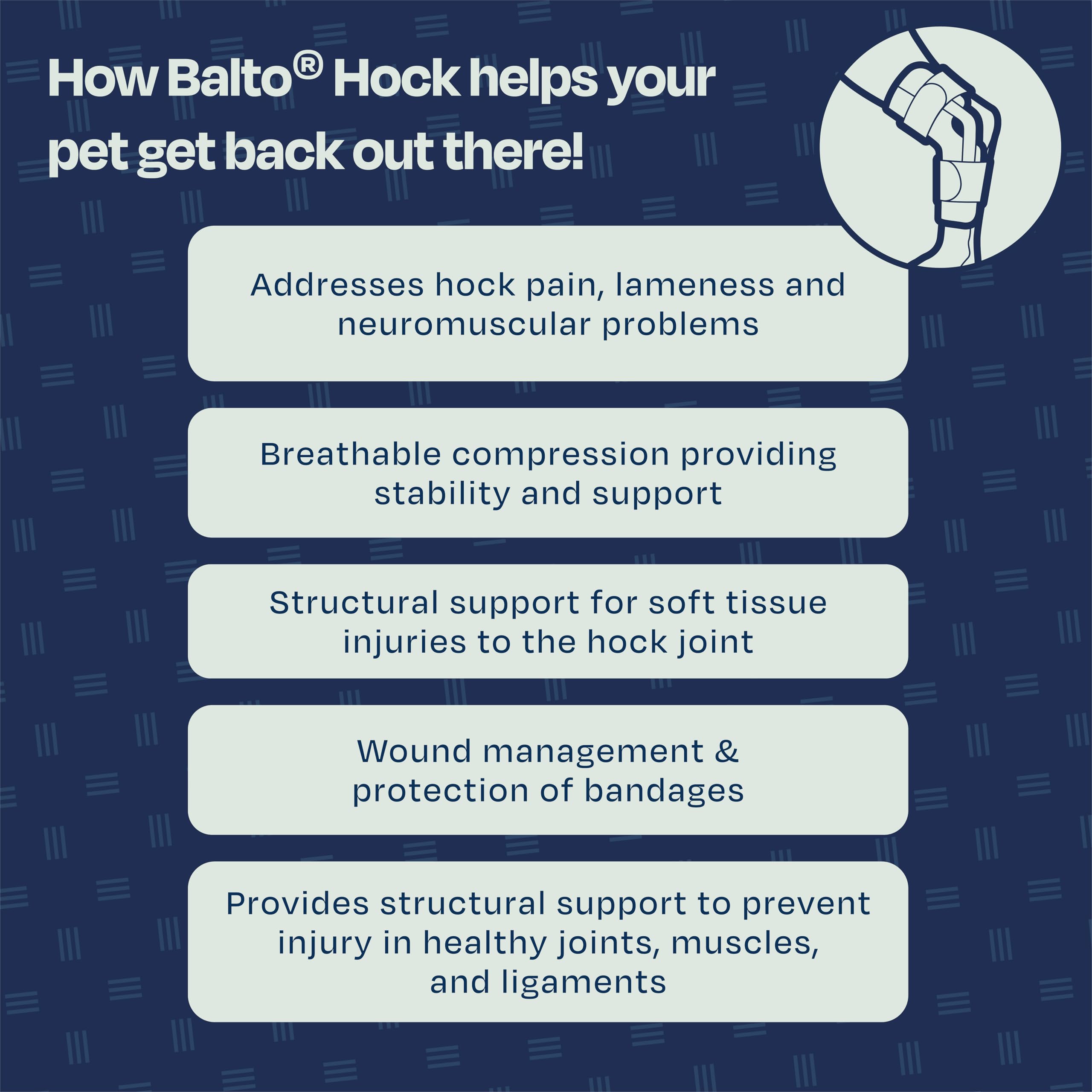 Balto Corvejón felino – Tobillera para gato – Soporte con férulas de aluminio – Pre/Post cirugía ayuda a apoyar la artritis y articulaciones inestables – Soporte de pierna trasera (extra pequeño)
