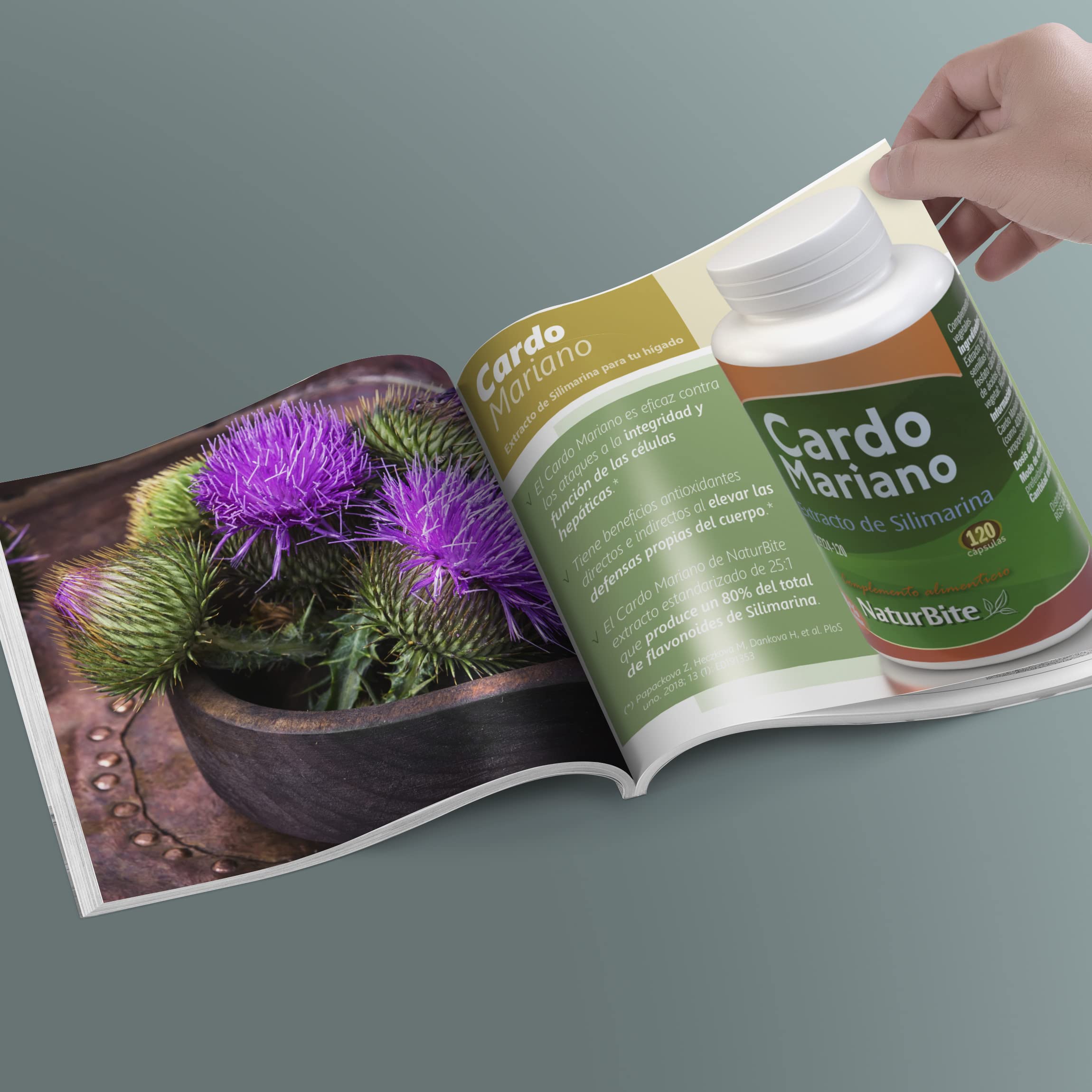 Extracto de Silimarina (Cardo Mariano), 120 cápsulas de alta concentración, 80% de Silimarina, NaturBite - Efecto depurativo para el hígado - Detox potente