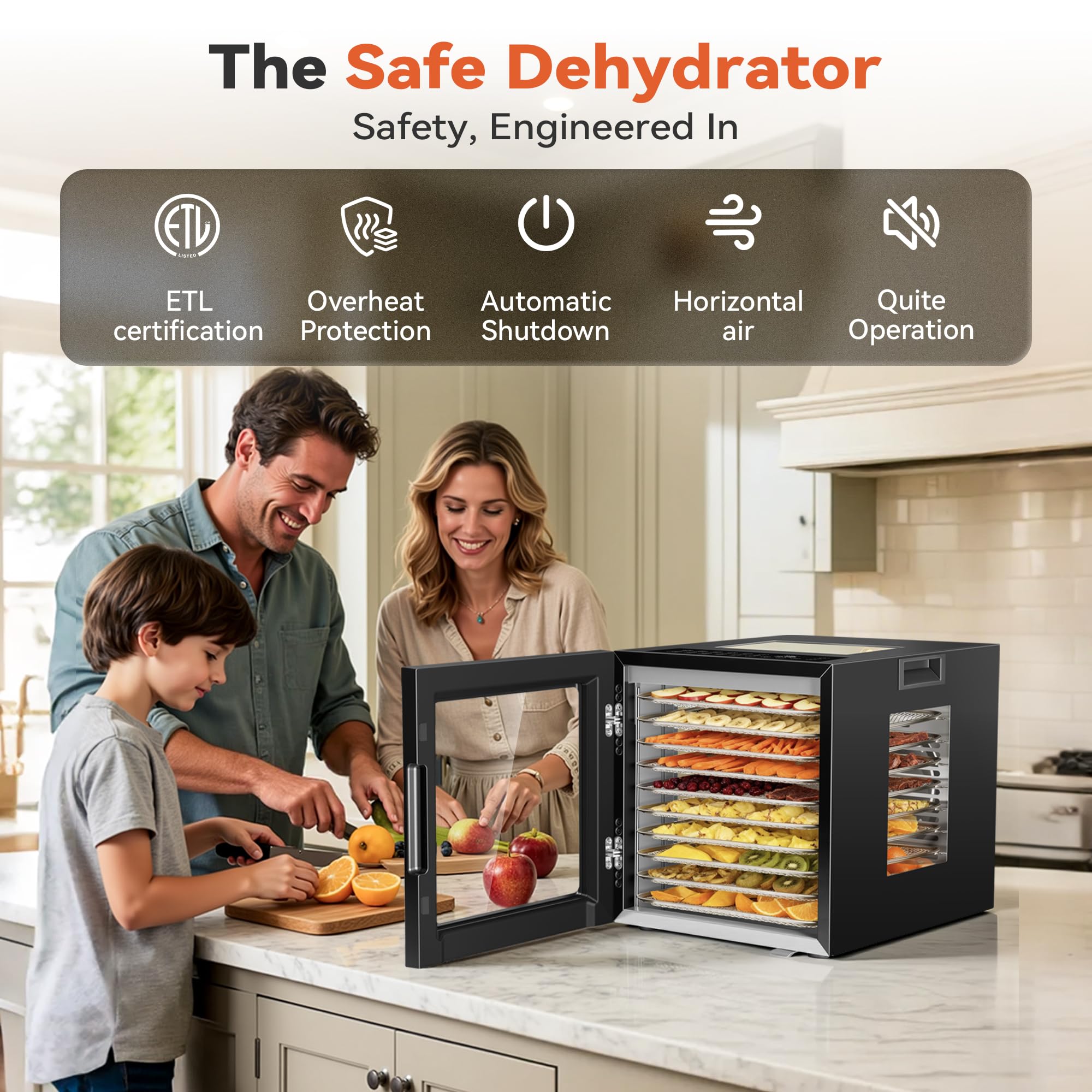 Manastin - Máquina deshidratadora de alimentos, 10 bandejas de acero inoxidable, secadora de 850 W para carne ceca, frutas, verduras, yogur y golosinas para perros, secador deshidratado de 100 a 165 °
