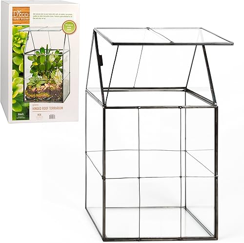 Miniatura 2 de D'Eco - Terrario geométrico de vidrio para plantas (6 x 5 x 11), centro de mesa de otoño para suculentas, plantas de aire y musgo, decoración para