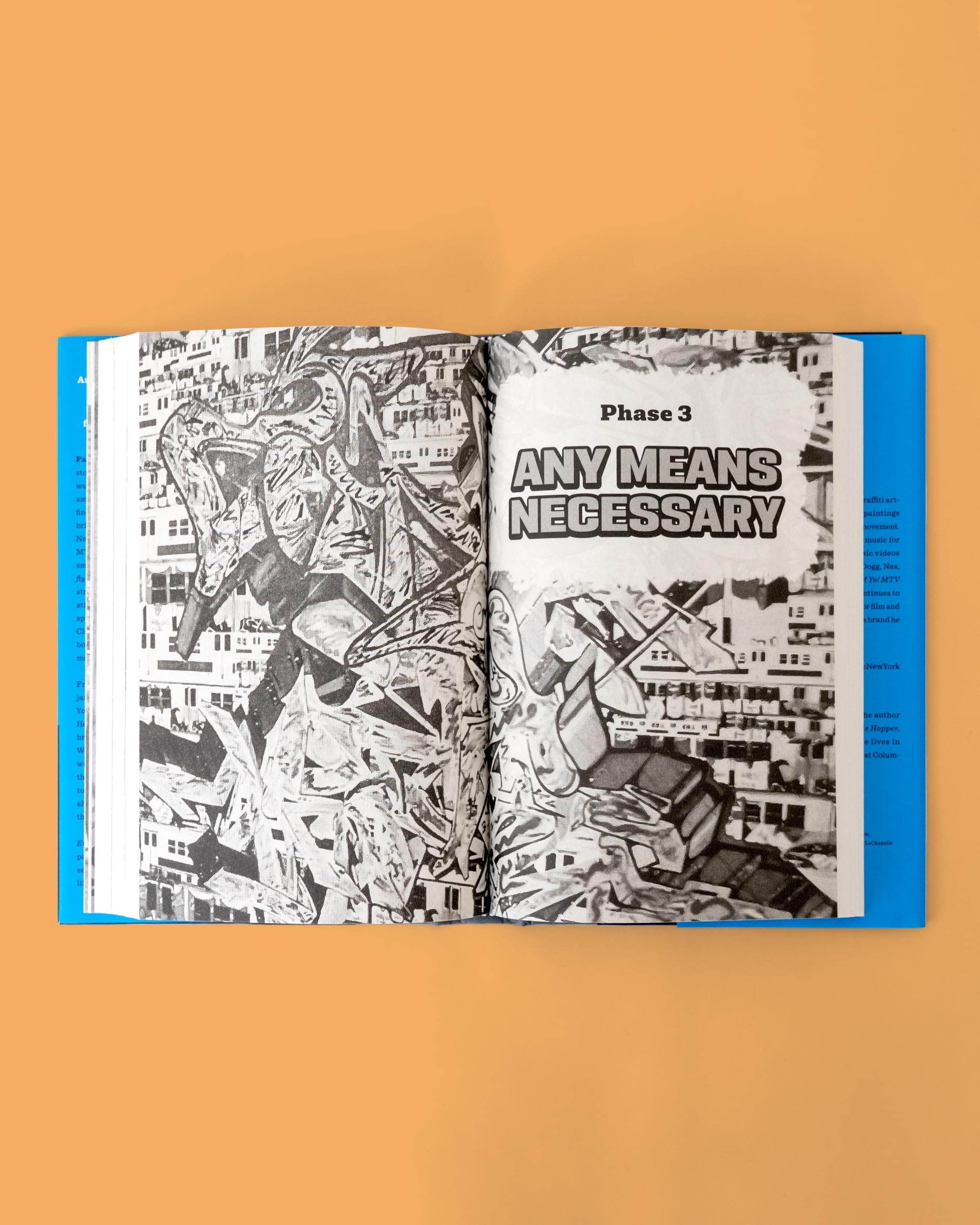 Everybody's Fly /anglais