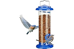 Kingsyard Mealworm Feeder: Bluebird's Delight
