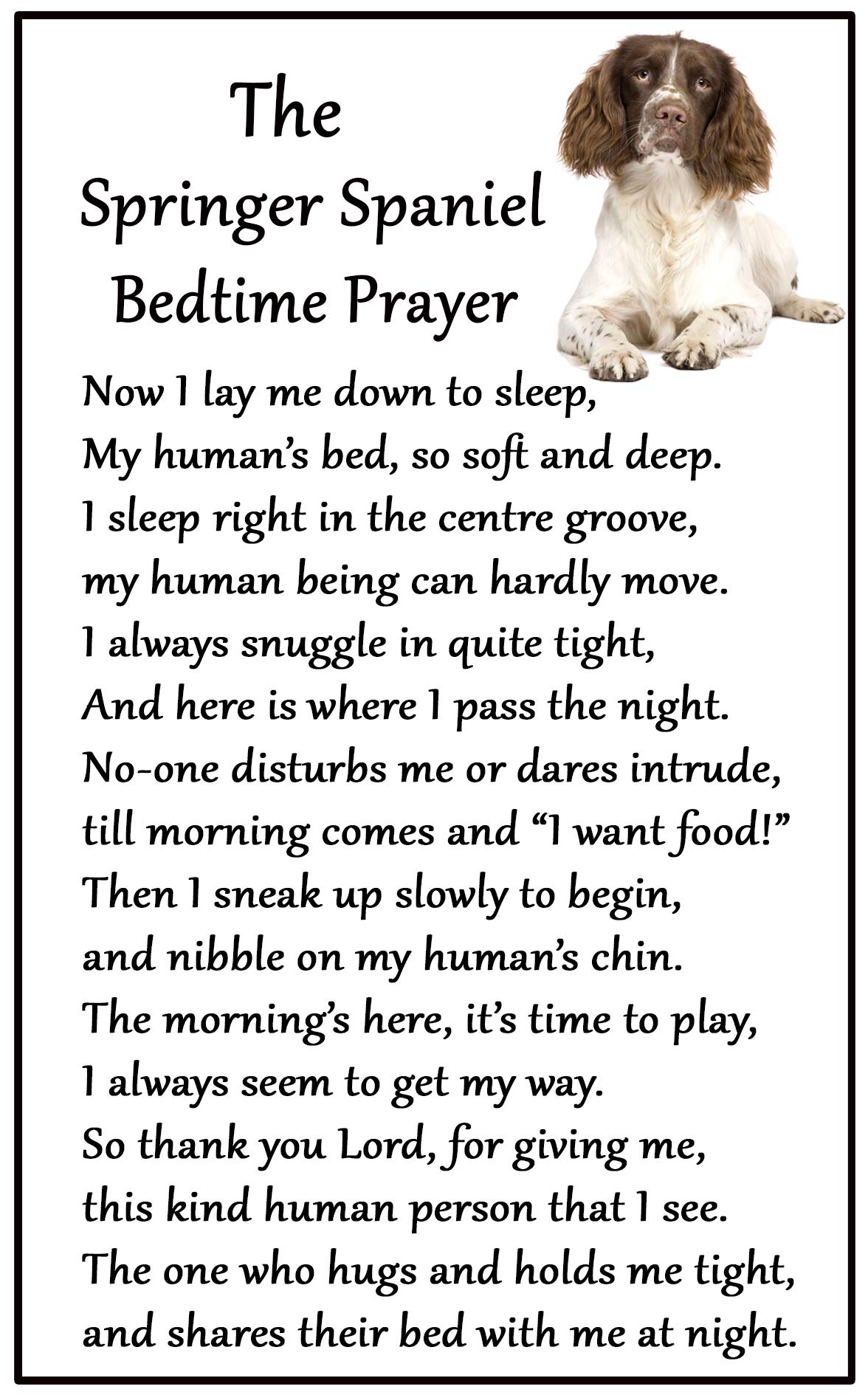 Fridge Magnets Black Springer Spaniel Dog Gift - Bedtime Prayer - Large Fun Flexible Size 16Cms X 10 Cms (Approx. 6" X4")