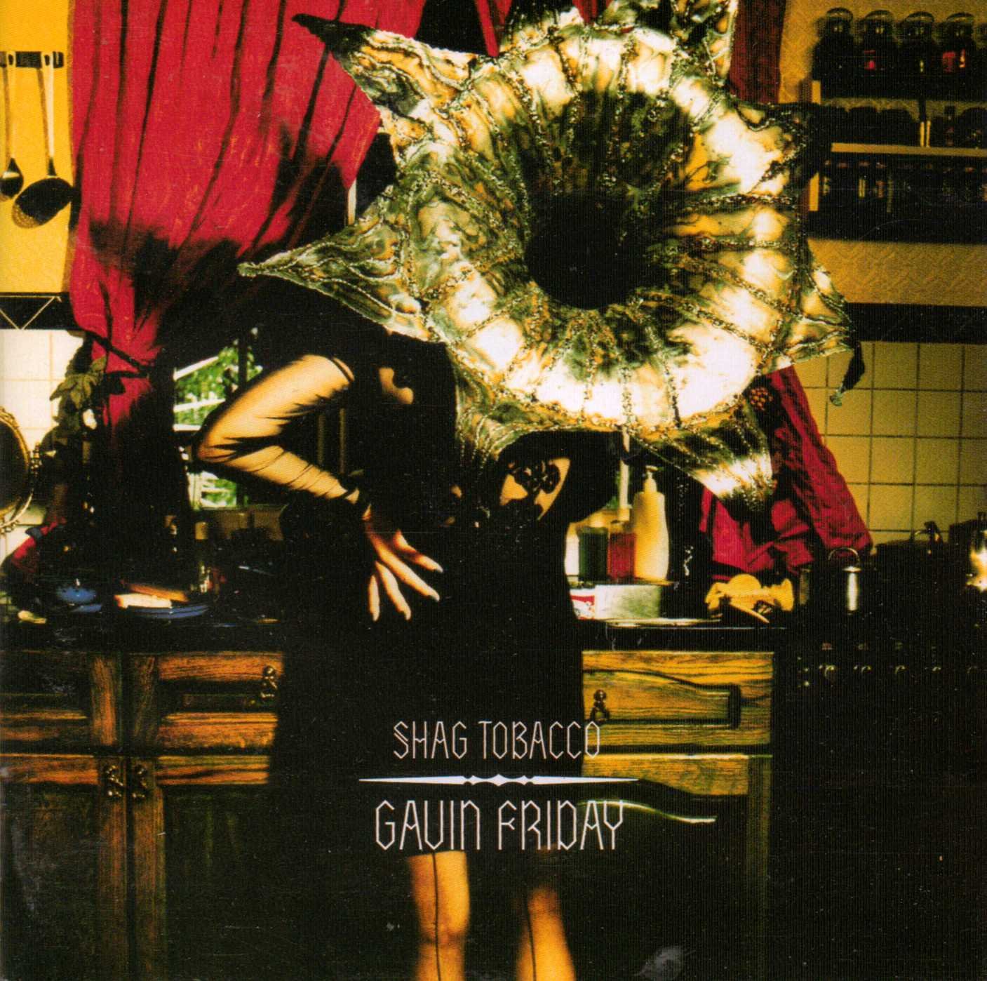 Shag Tobacco [Audio CD] Friday, Gavin