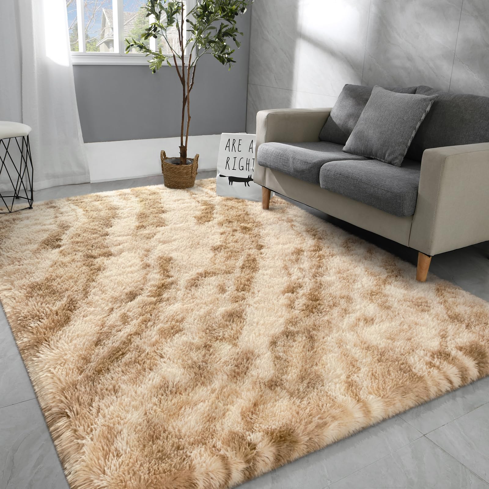Hutha 4x6 Large Area Rugs for Living Room, Super Soft Fluffy Modern Bedroom Rug, Beige Indoor Shag Fuzzy Carpets for Girls Kids Nursery Room Home Decor