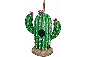Enchanting Cactus Bird Feeder: A Desert Oasis for Feathered Friends