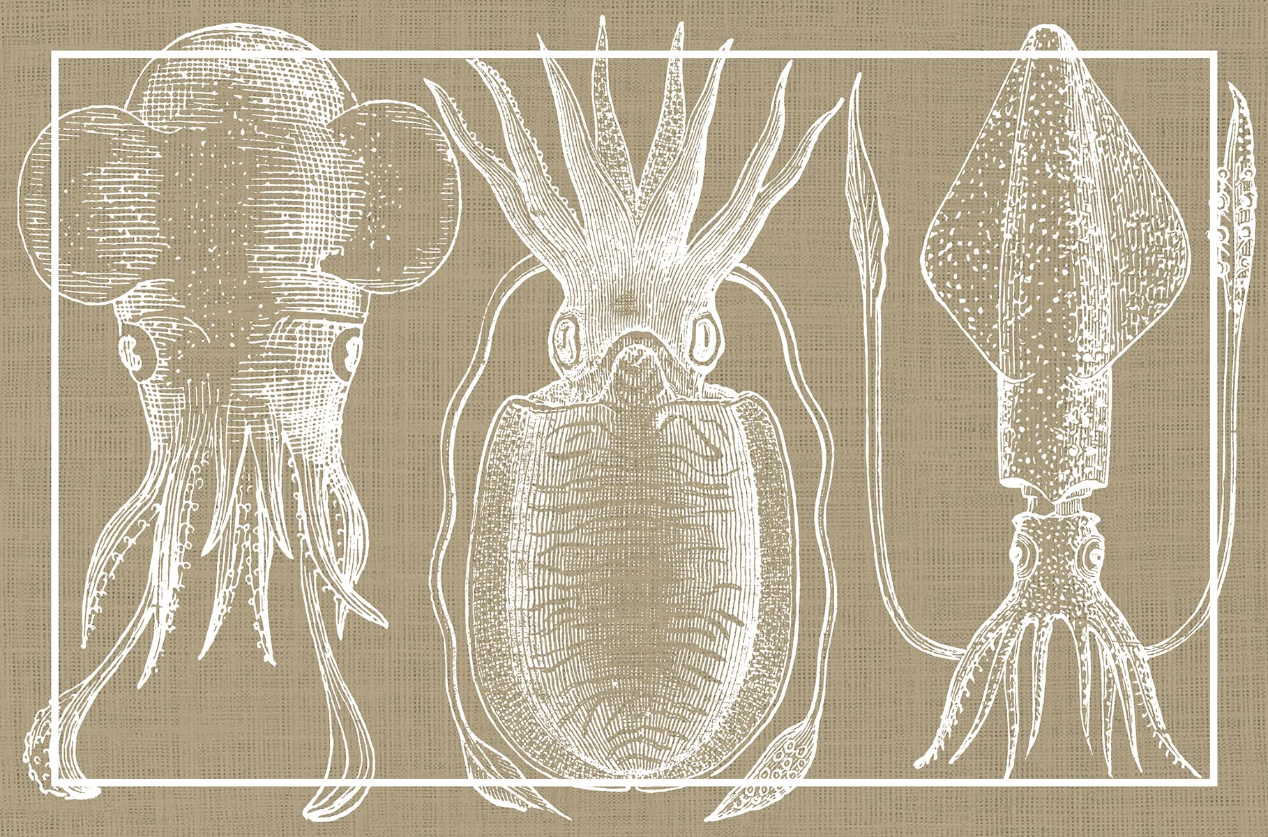 VINILIKO Vinyl Carpet, Squid Cuttlefish