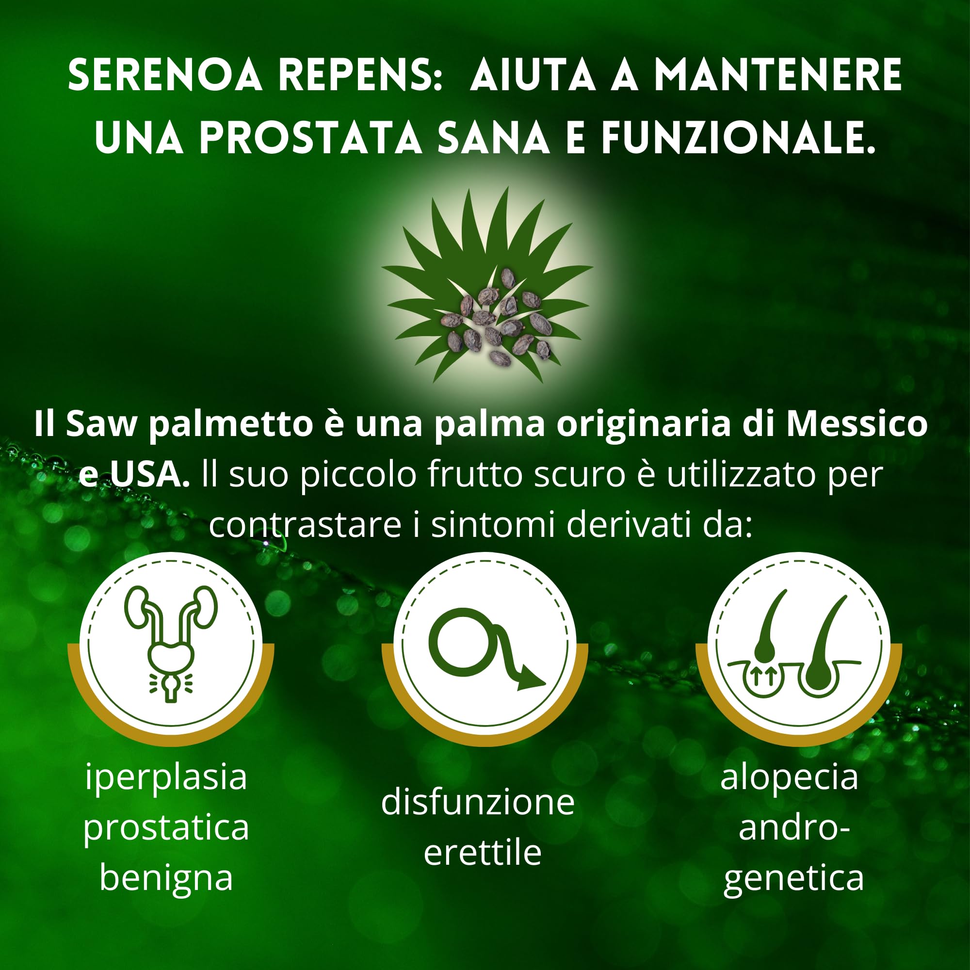 Serenoa Repens 660mg Saw Palmetto 180cps | Integratore Prostata Uomo con Estratto di Epilobio, Ortica e Pygeum per il Supporto delle Vie Urinarie Uomo