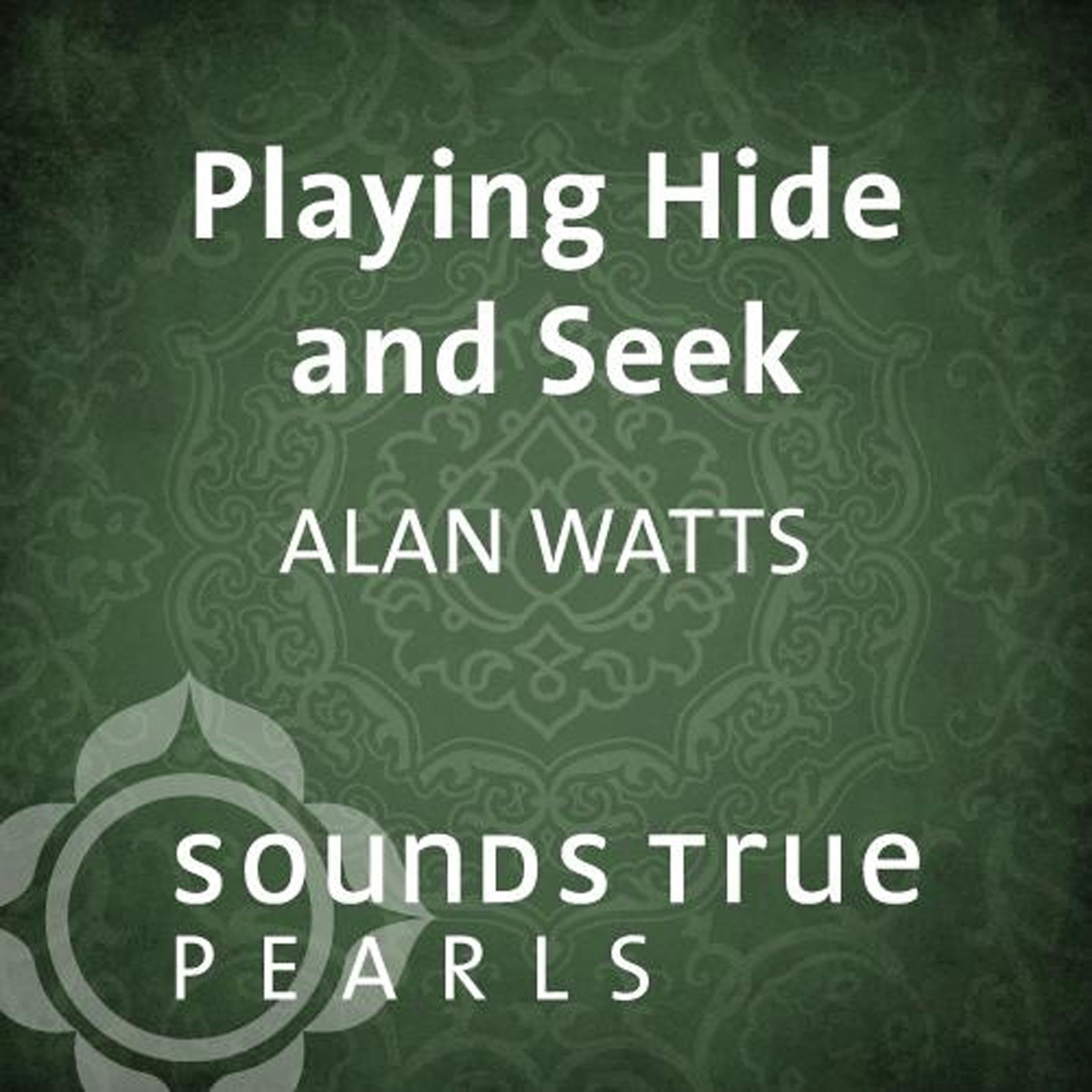 Cover art for Playing Hide and Seek