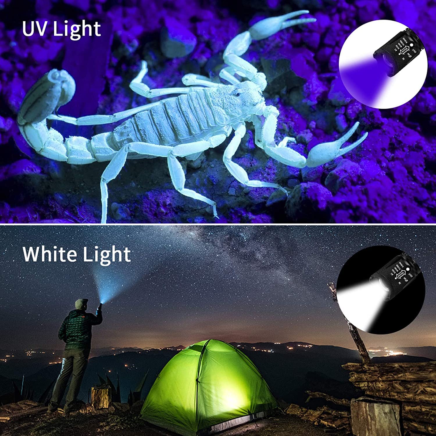 Morpilot Torcia UV 2 in 1, LED Luce Nera 500 Lumen, Messa a Fuoco Regolabile, Rilevatore di Urina e Banconote da Compagnia, Impermeabile IPX4, con 3 Batterie, nero