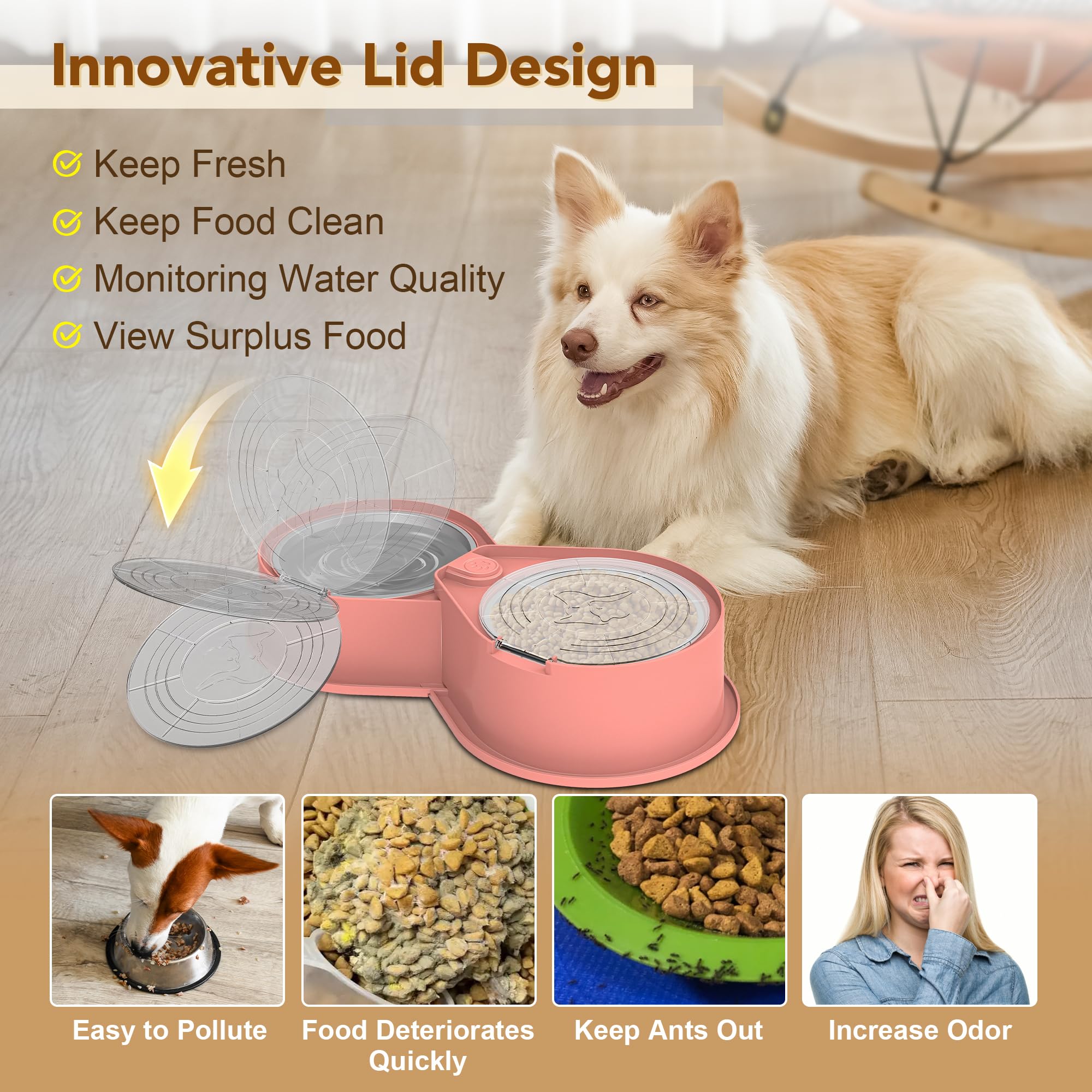 Cuenco doble de acero inoxidable para mascotas con tapa