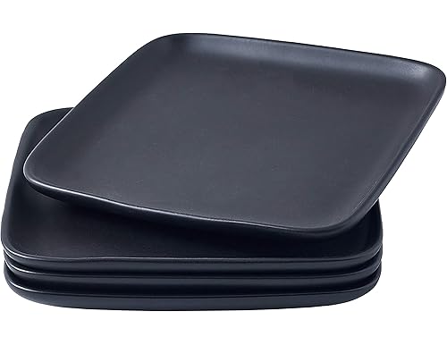 Best Black Square Plate Sets of 2024: Top Picks for Every Style and Budget